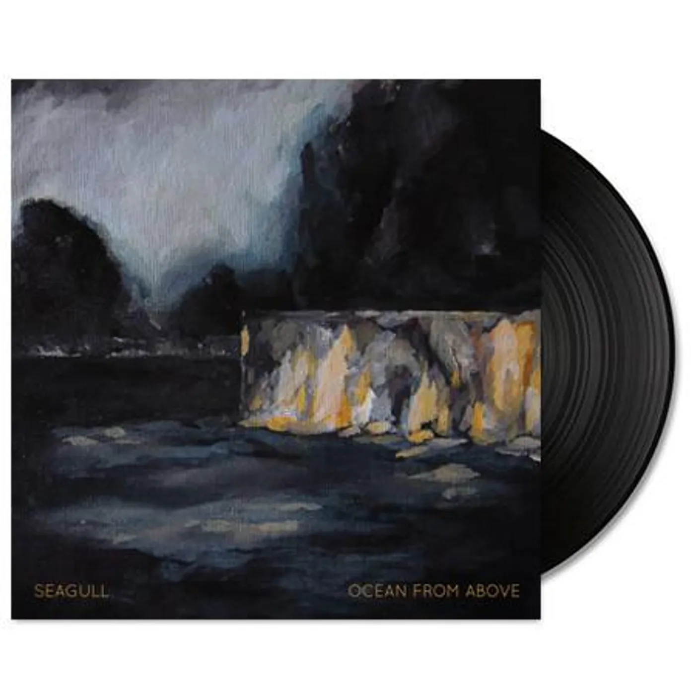 Seagull Ocean From Above LP (Vinyl)