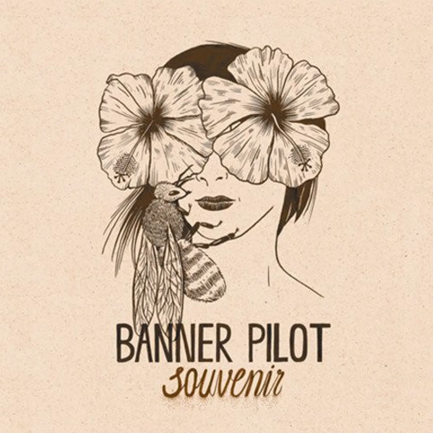 Banner Pilot Souvenir CD