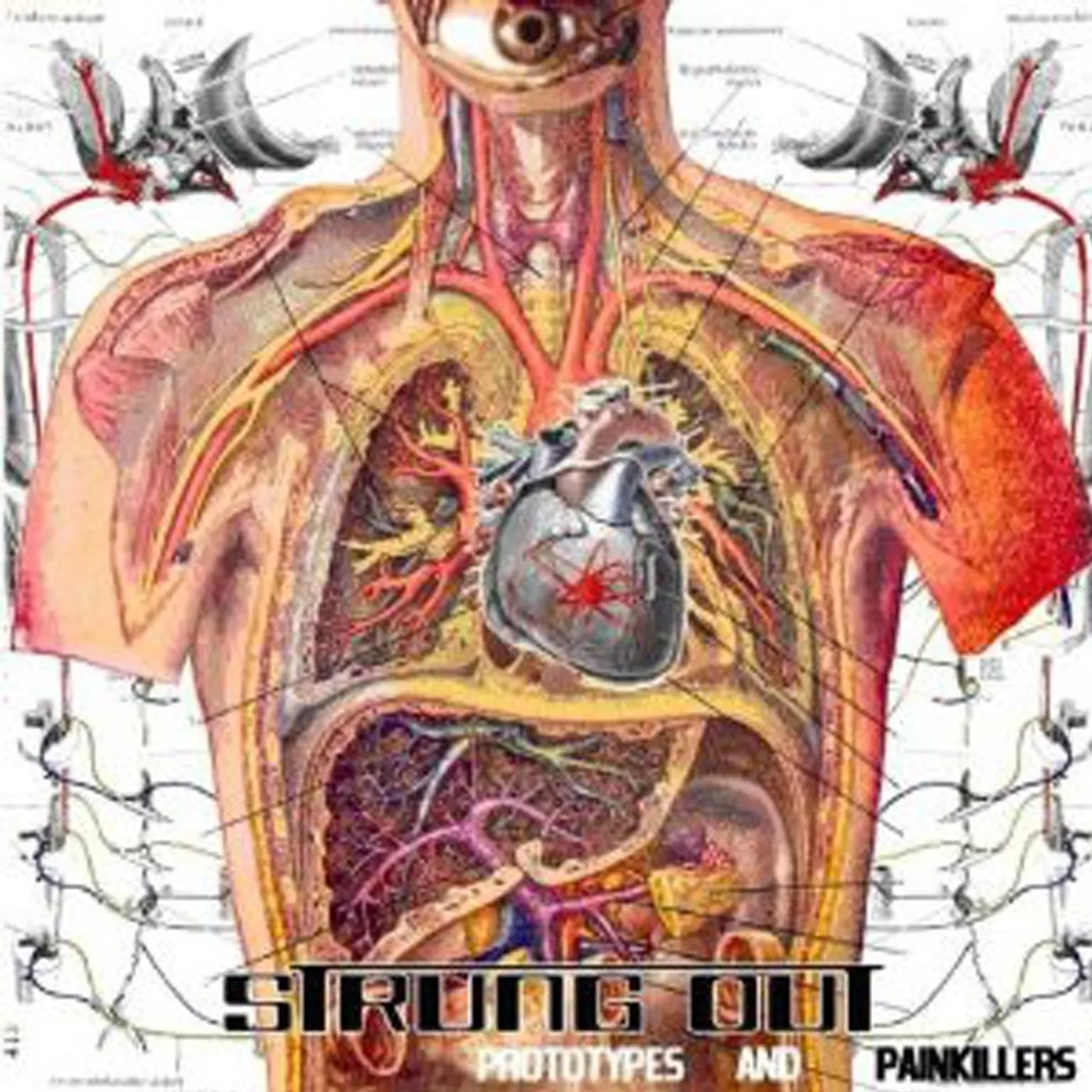 Strung Out Prototypes and Painkillers CD