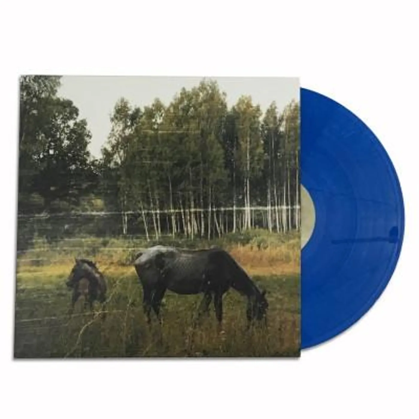 Pianos Become The Teeth Old Pride LP (Blue Marble) - Signed (Vinyl)