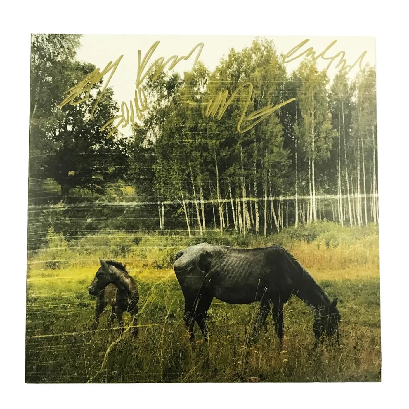 Pianos Become The Teeth Old Pride LP (Blue Marble) - Signed (Vinyl)