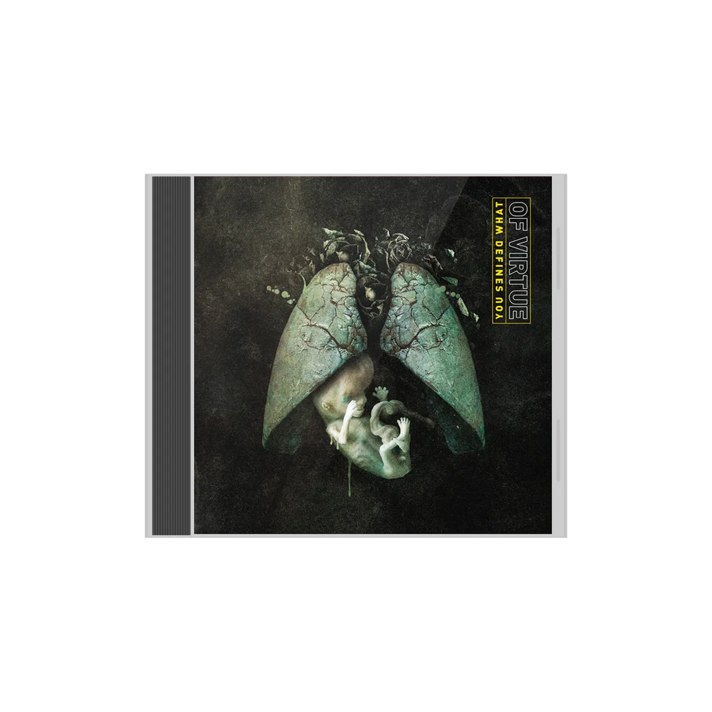 Of Virture Of Virtue - 'What Defines You' CD