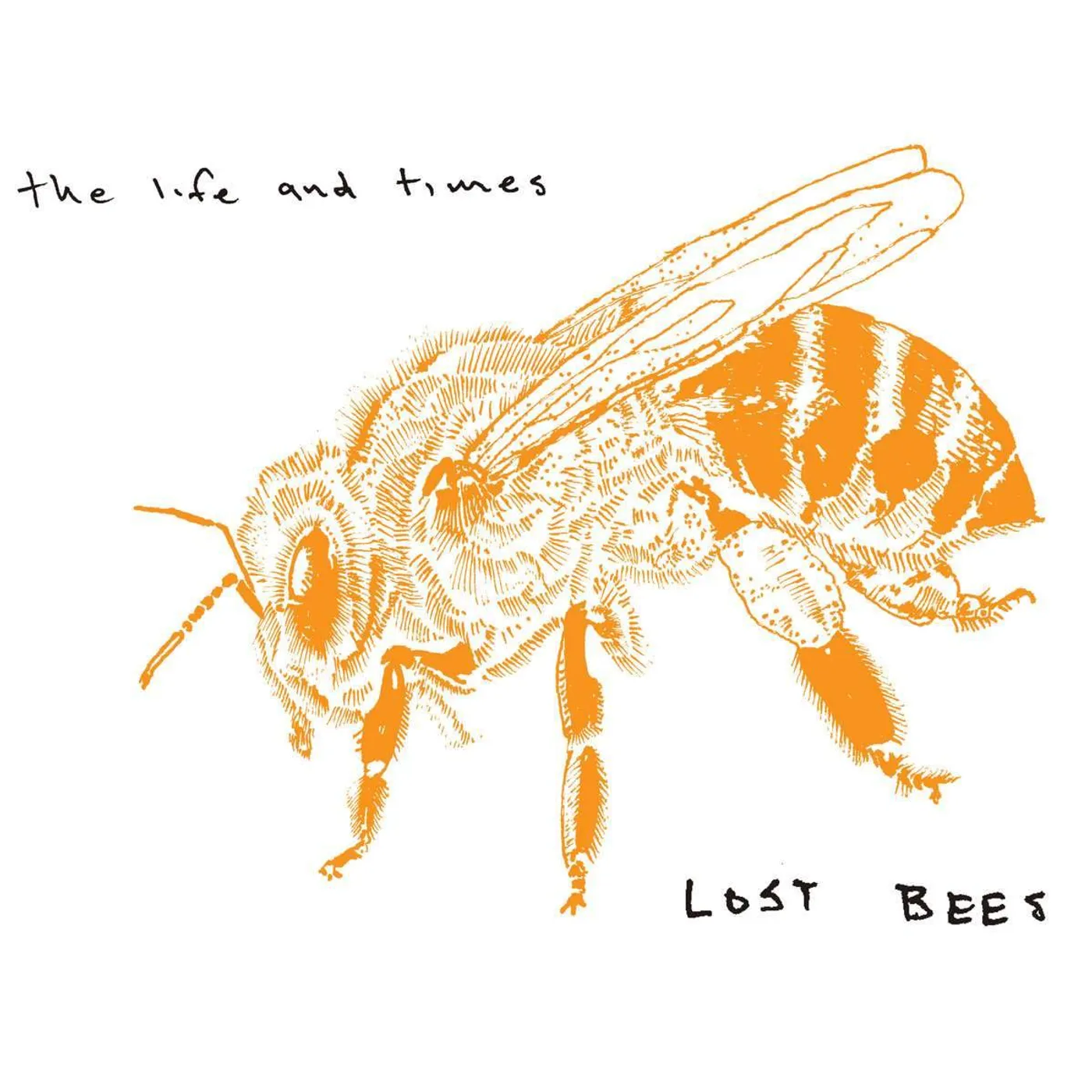 The Life and Times | Lost Bees