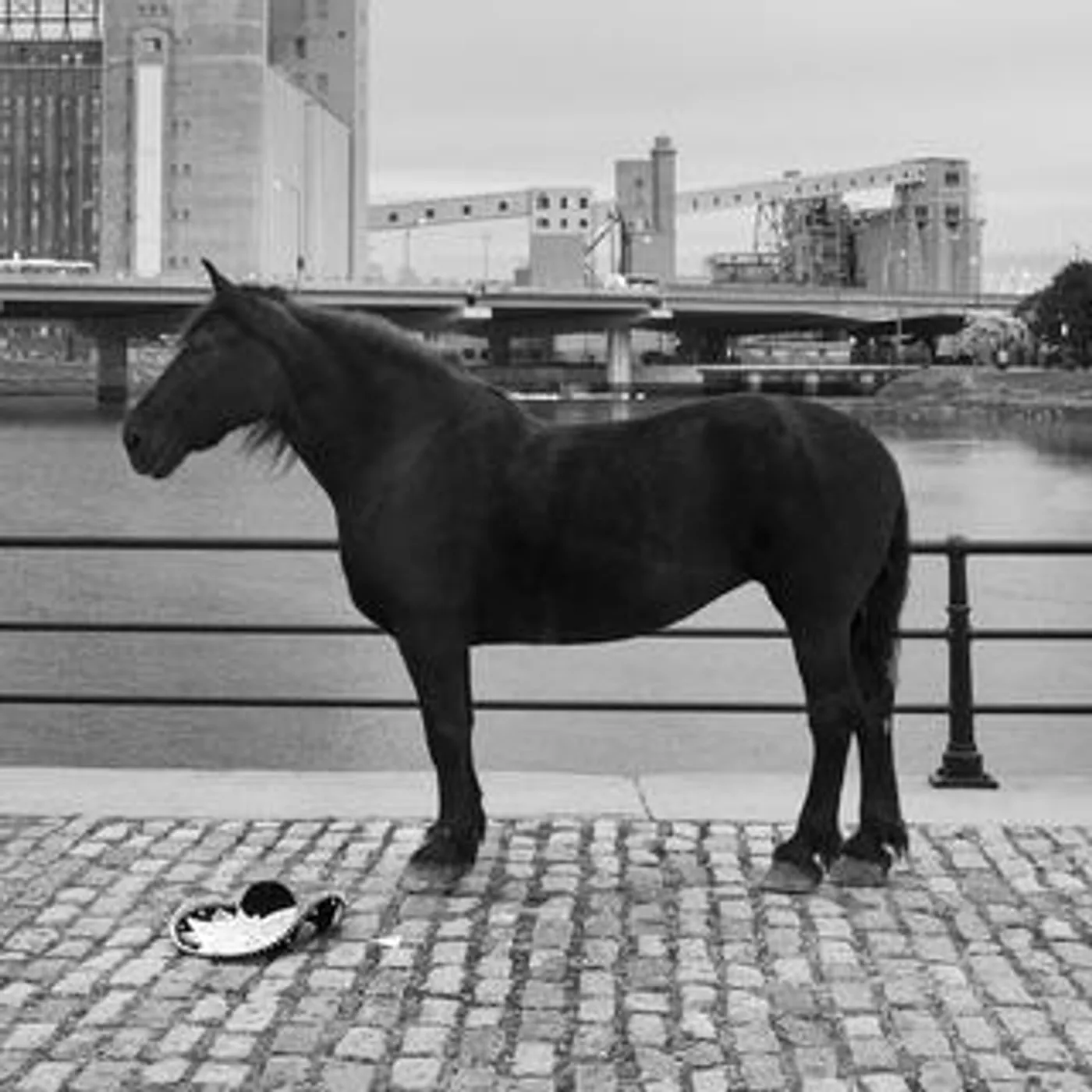 Rouge Pompier / Chevy Chase - CD