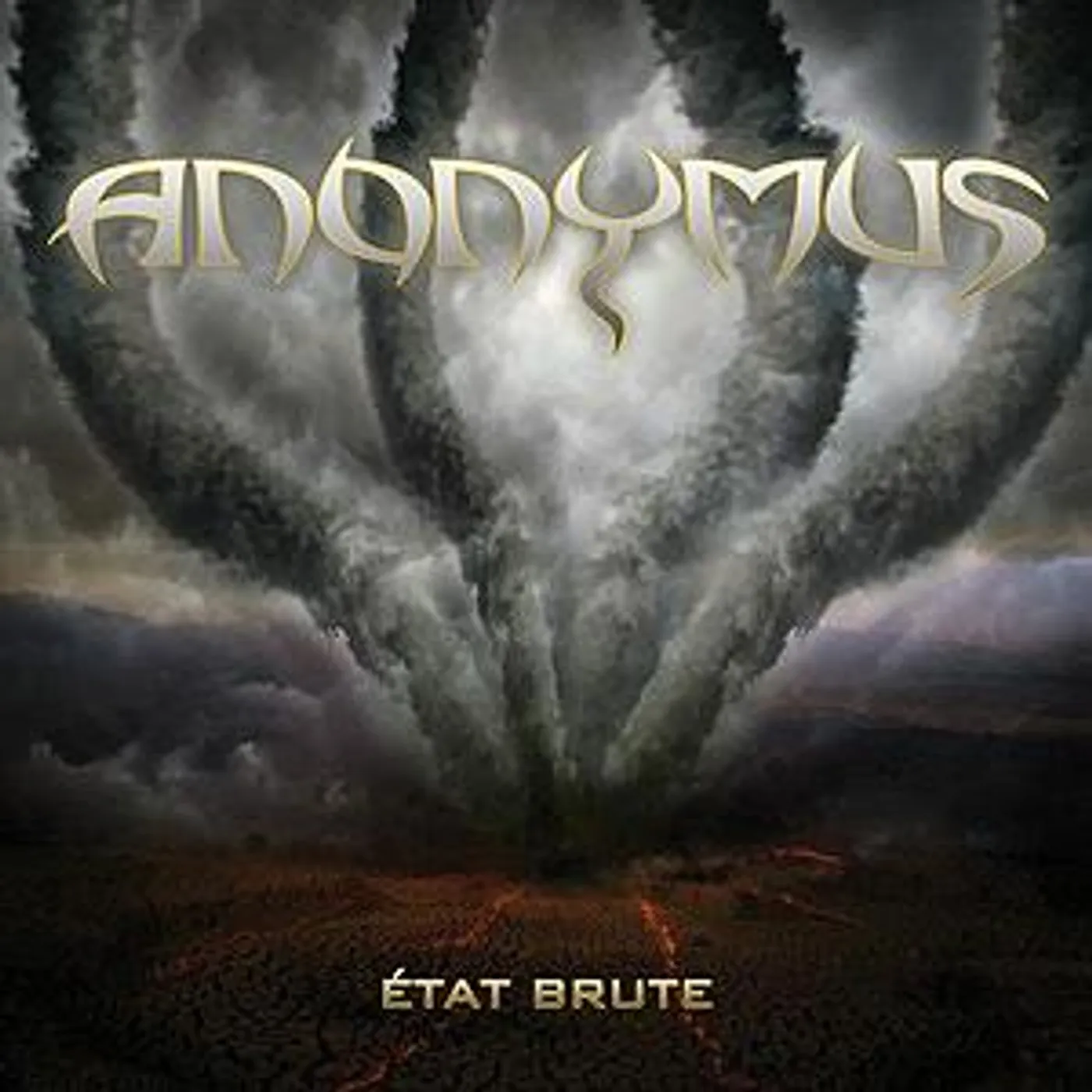 Anonymus / État brute - LP grey (Vinyl)