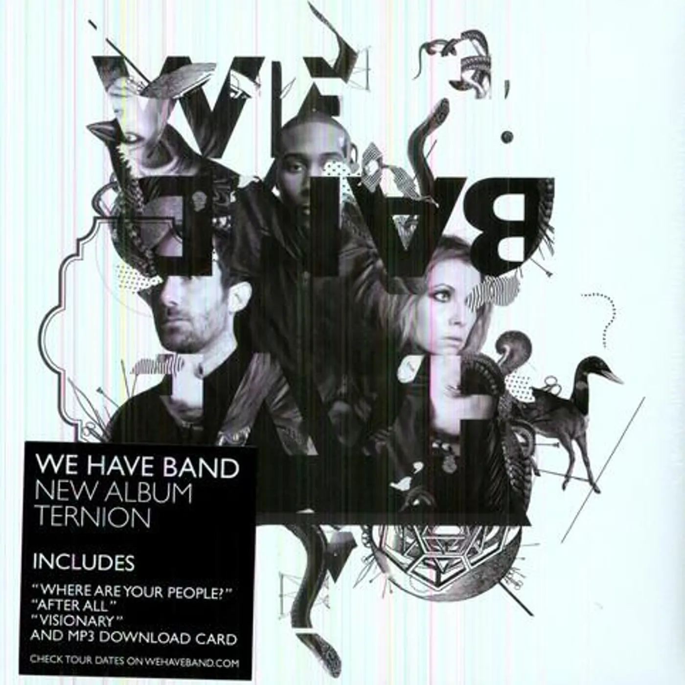We Have Band / Ternion - LP (Vinyl)
