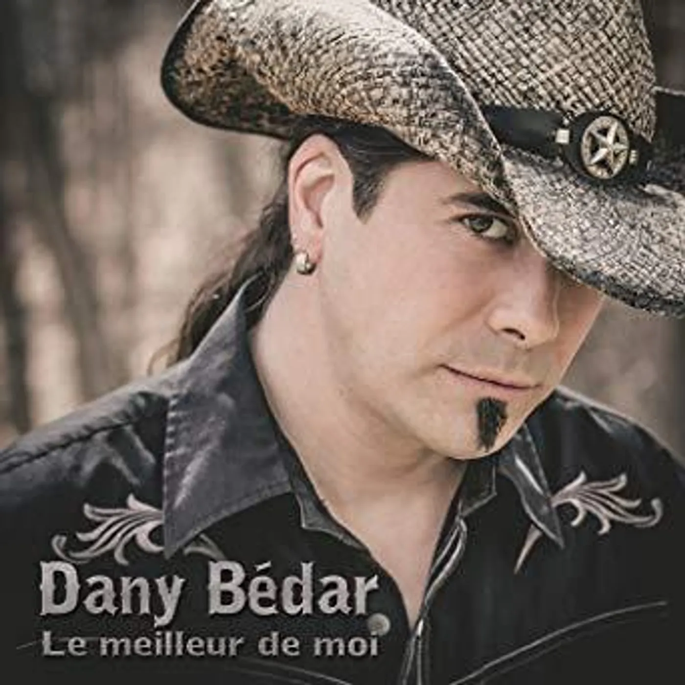 Dany Bédard Dany Bédar / Le Meilleur De Moi - CD