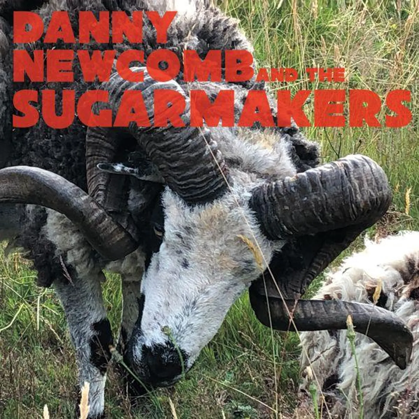 Pearl Jam DANNY NEWCOMB & THE SUGARMAKERS AMERICAN b/w 14 DAYS