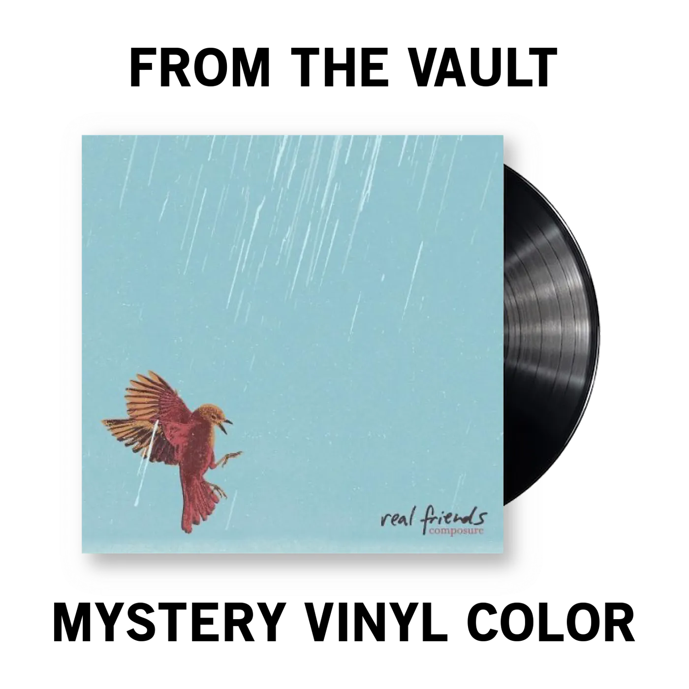 Real Friends Composure Vinyl