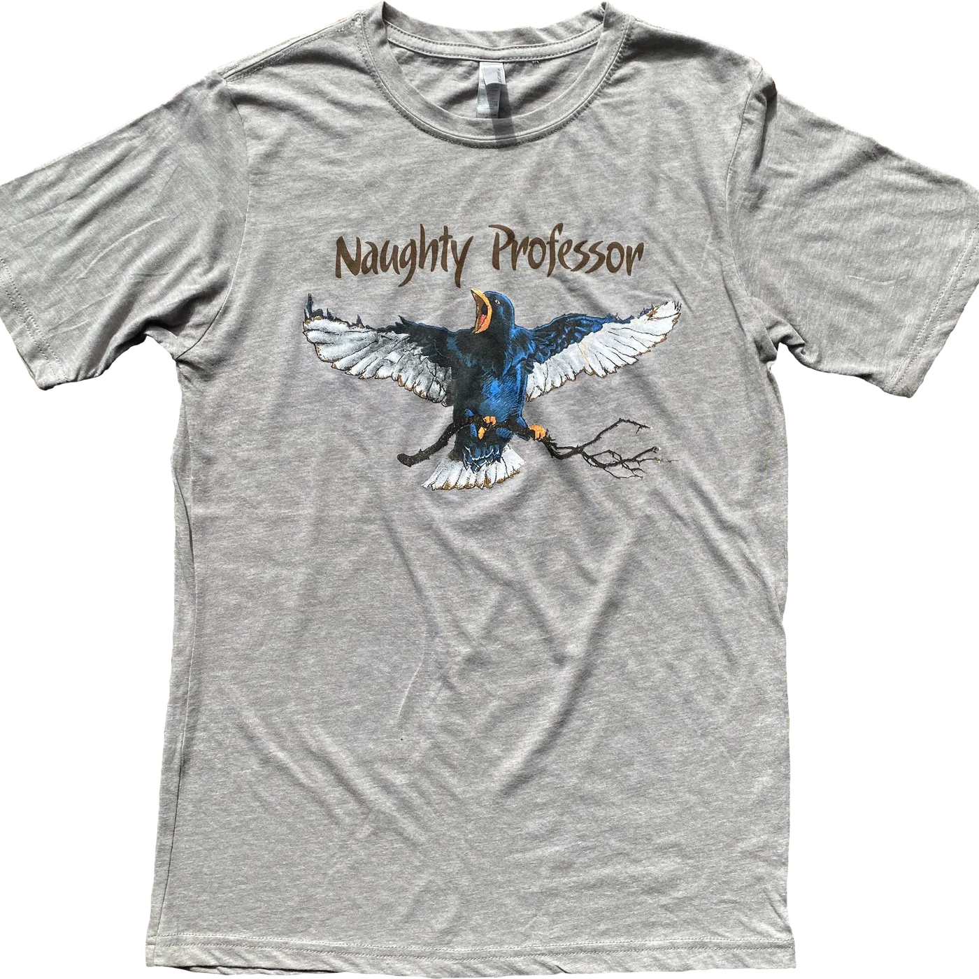 Naughty Professor Unisex Bird Shirt - Grey