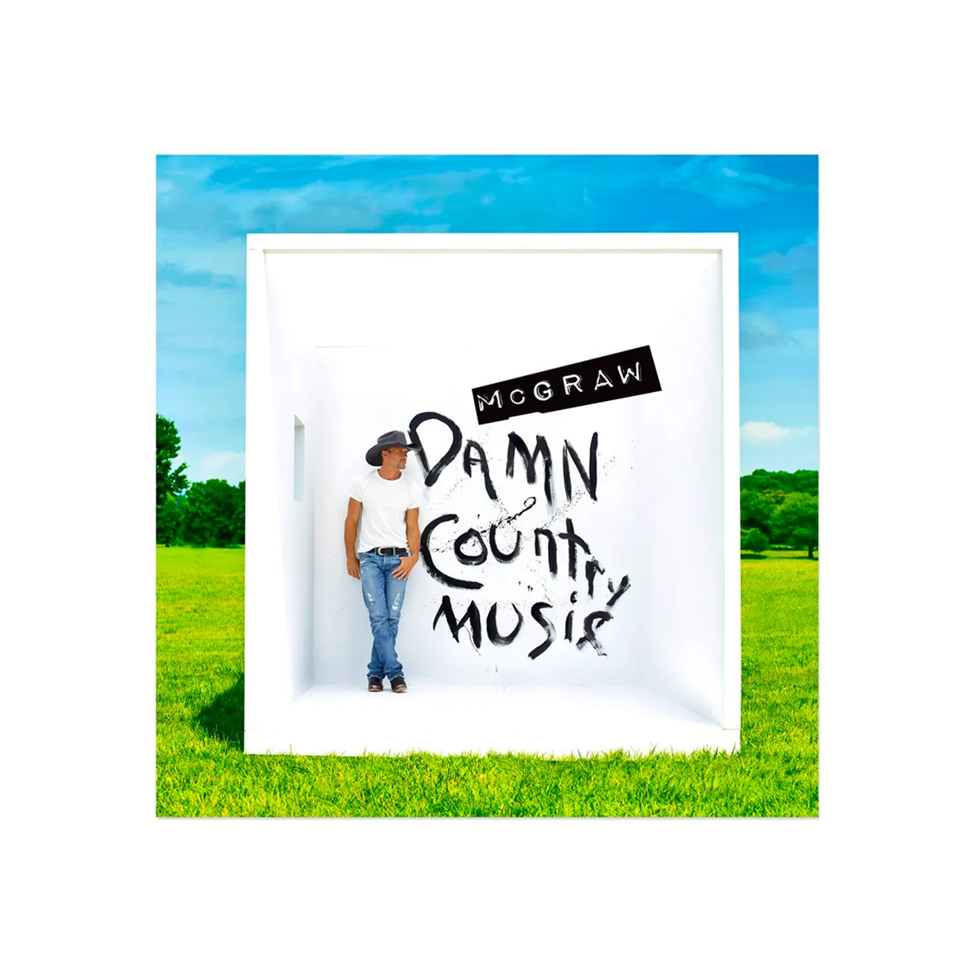 Tim McGraw Damn Country Music Standard CD