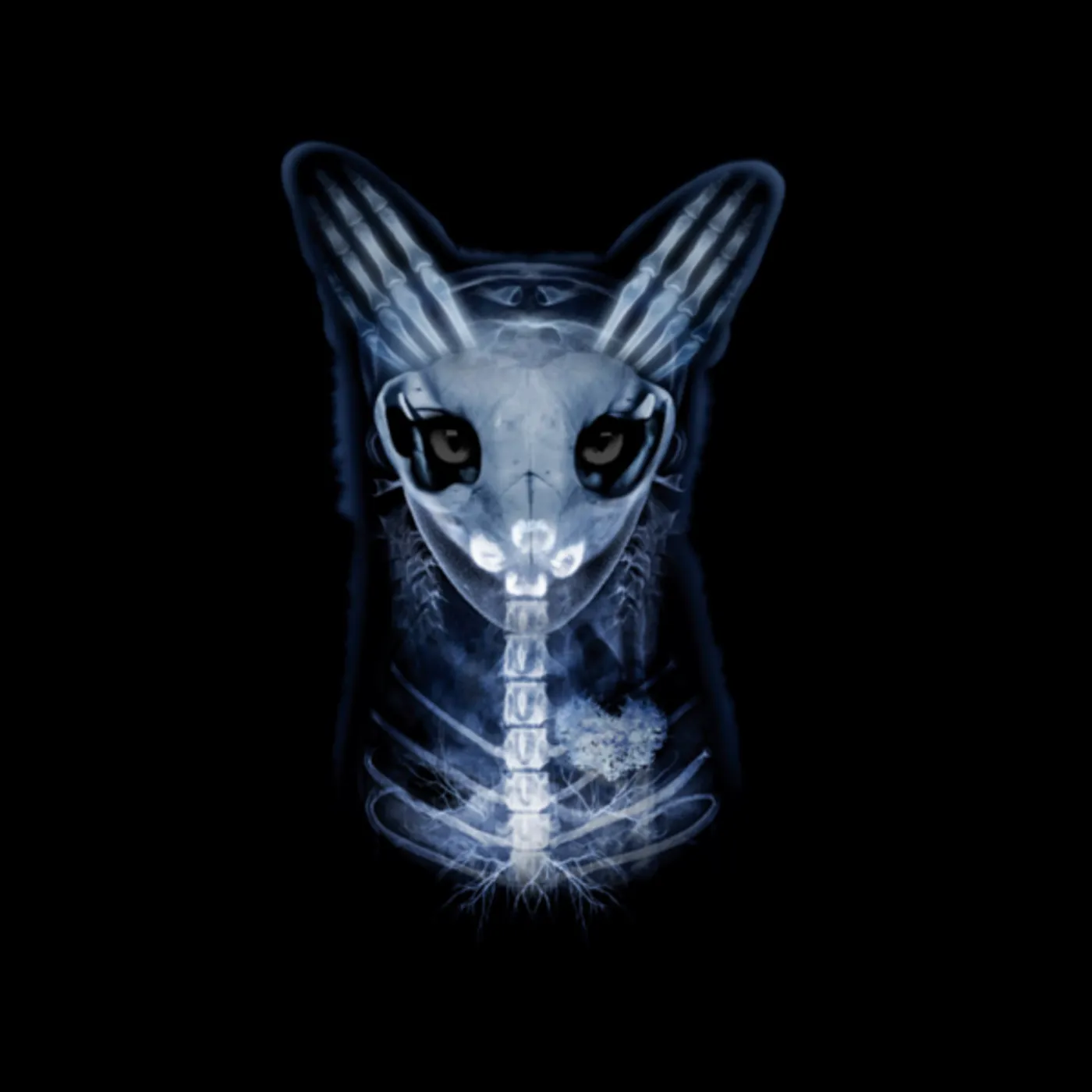 Galantis skullfox 3m tee