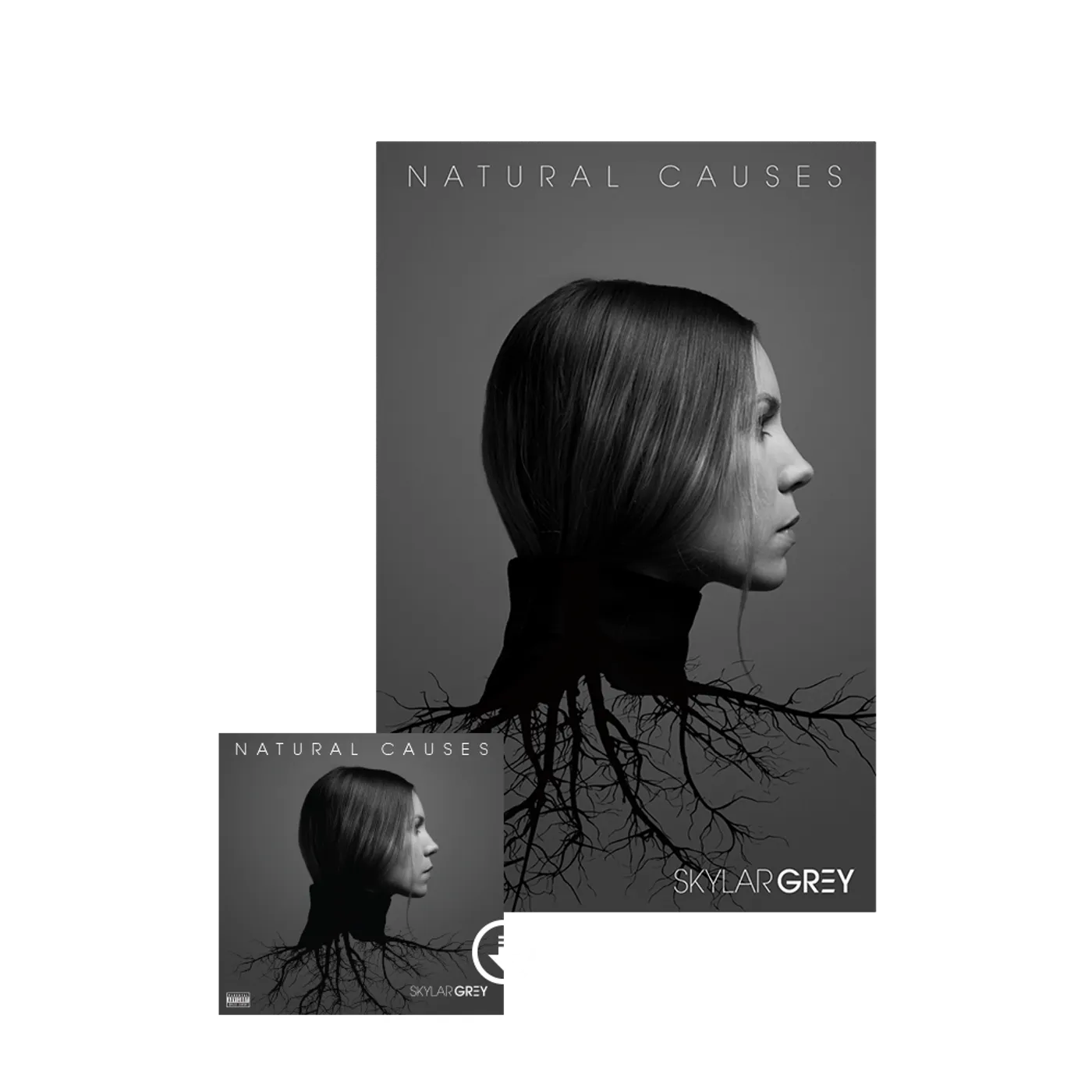 Skylar Grey Natural Causes Poster + Digital Album