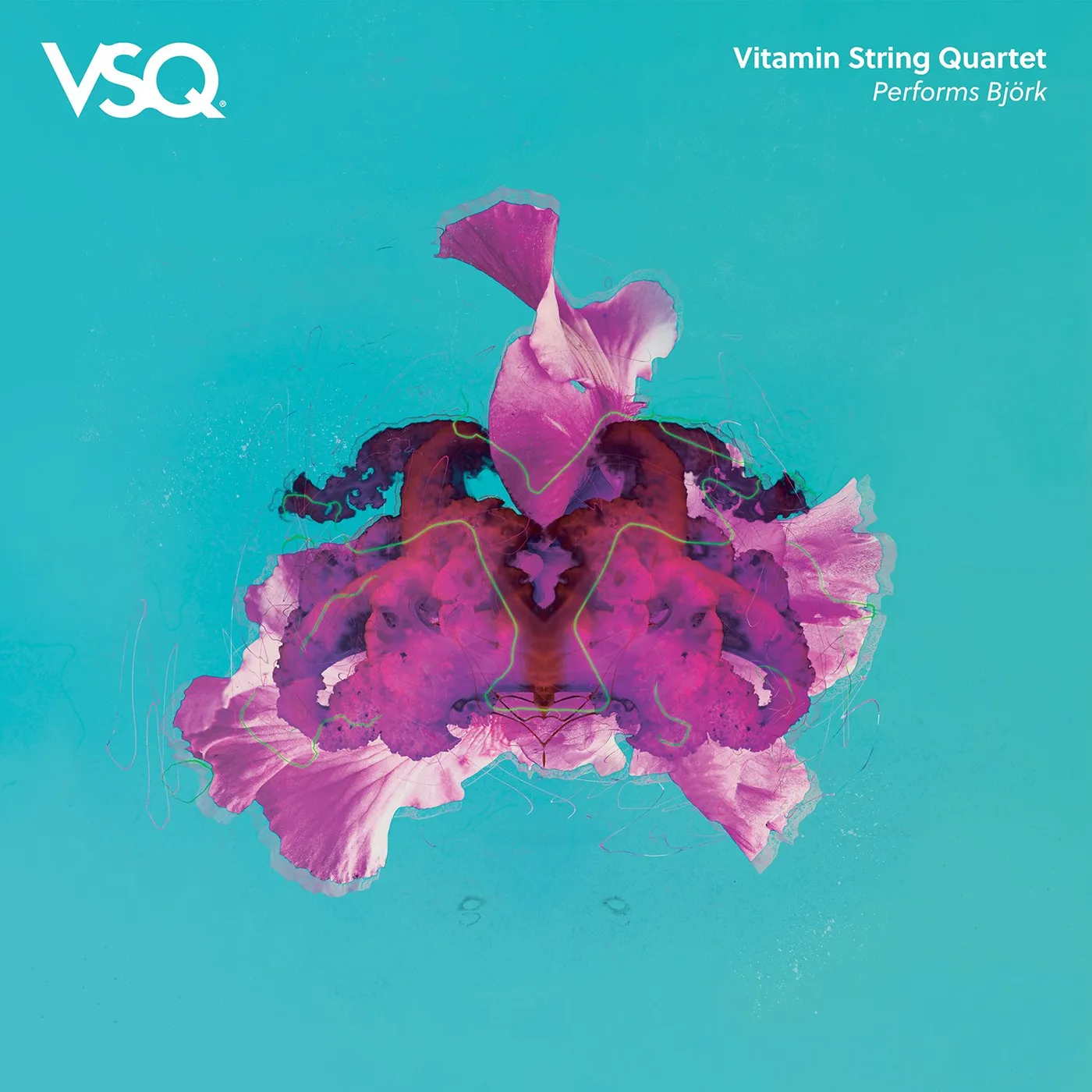 Vitamin String Quartet VSQ Performs Björk