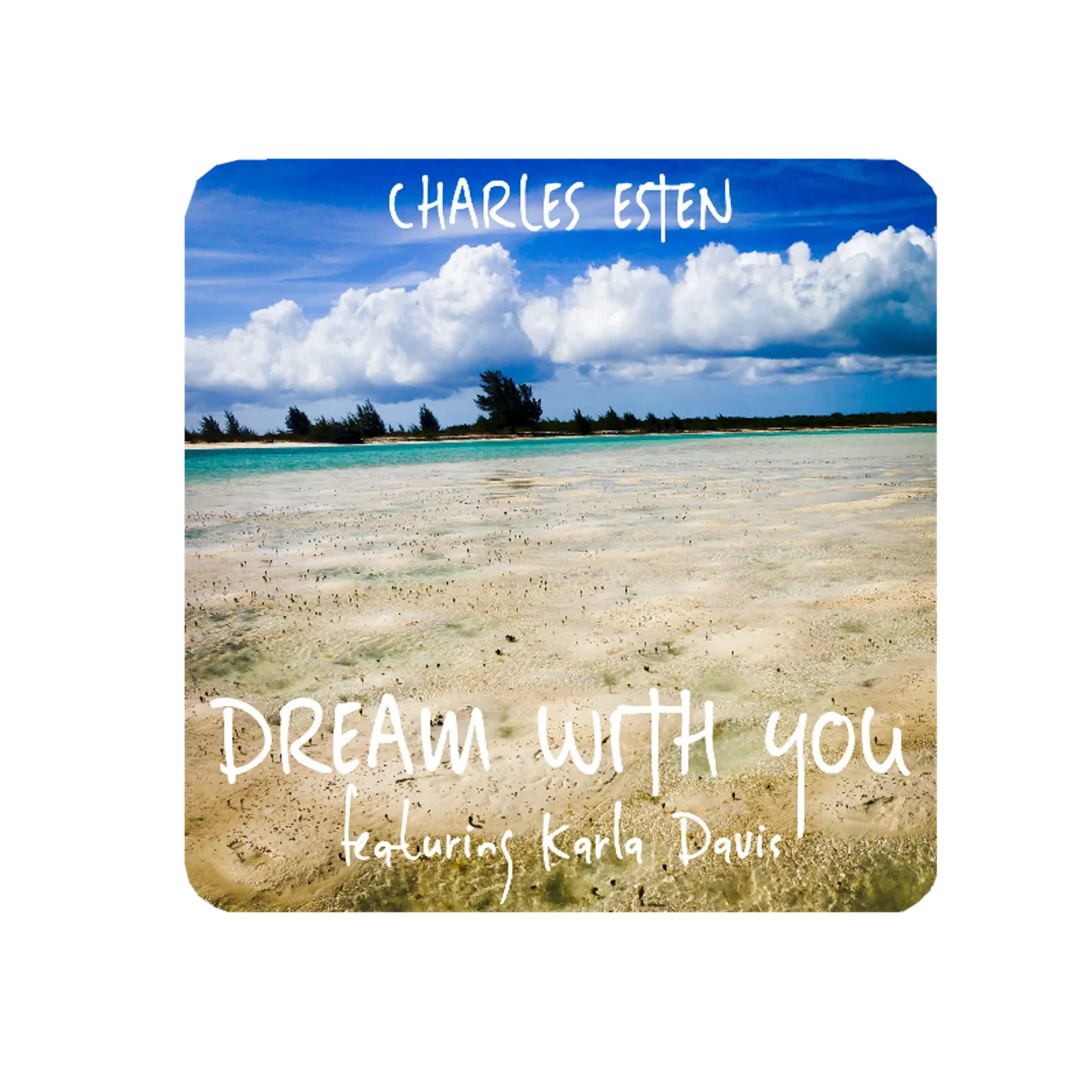 Charles Esten Song Title Sticker- Dream With You