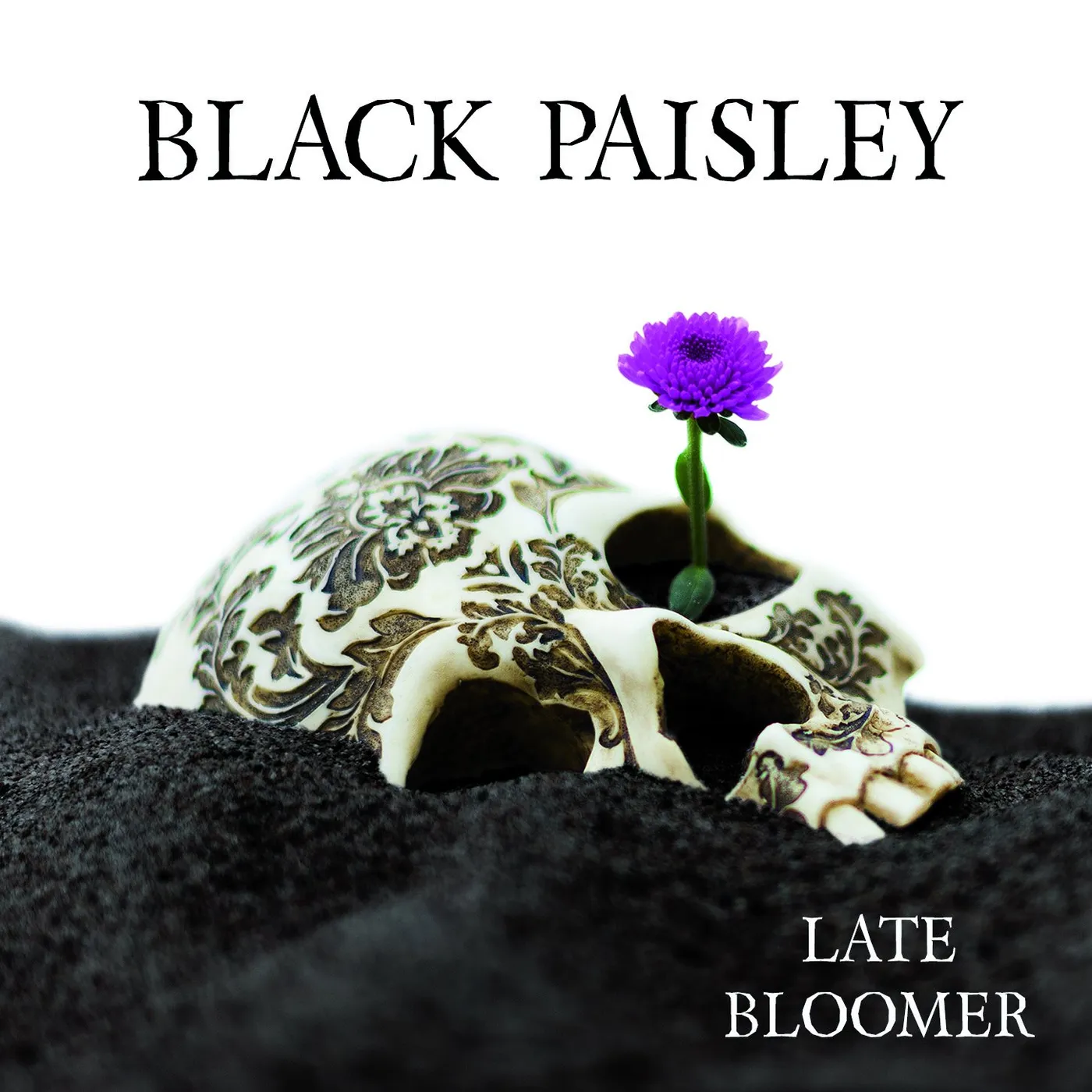 Black Paisley Late Bloomer CD