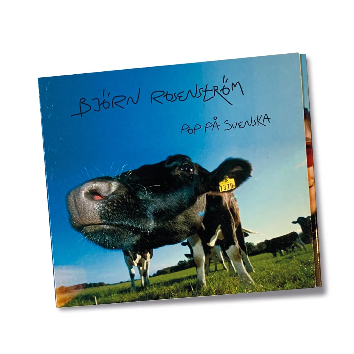 Björn Rosenström Pop på Svenska