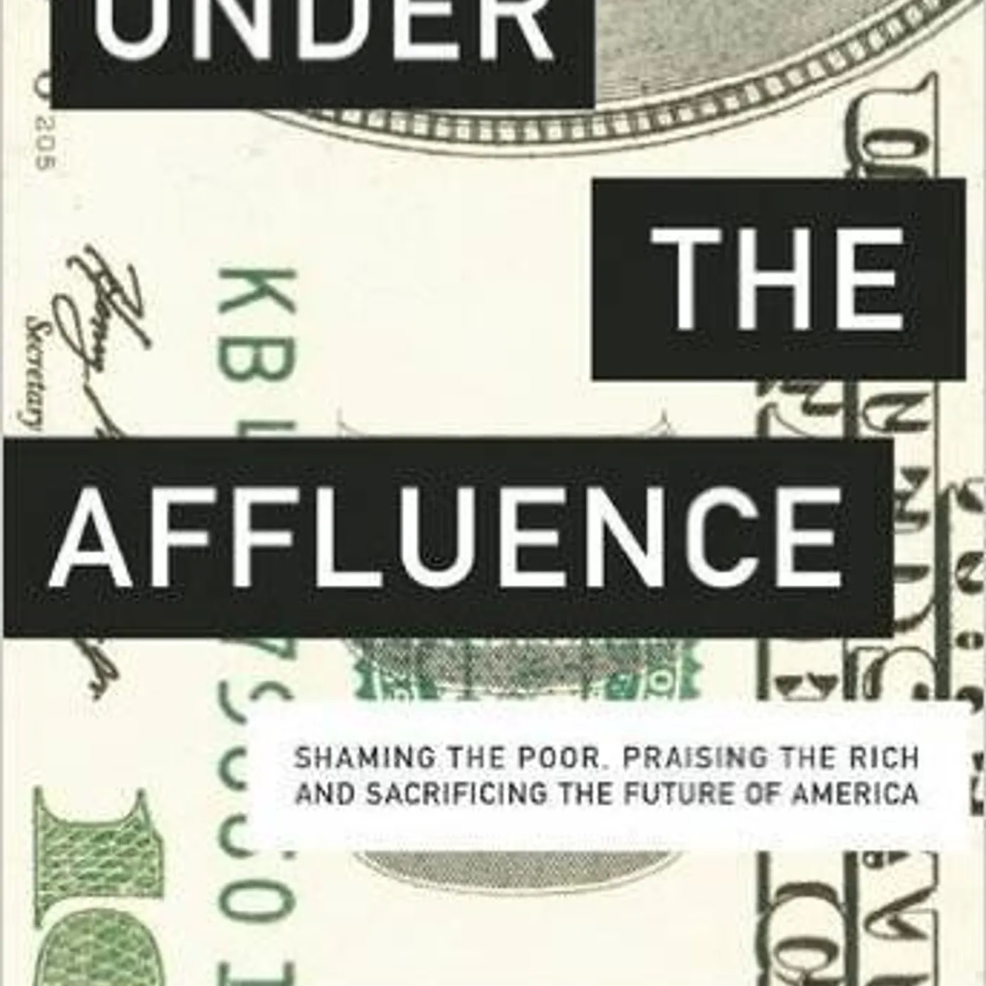 Tim Wise - Under the Affluence: Shaming the Poor, Praising the Rich and Sacrificing the Future of America (City Lights Open Media) (Softcover)