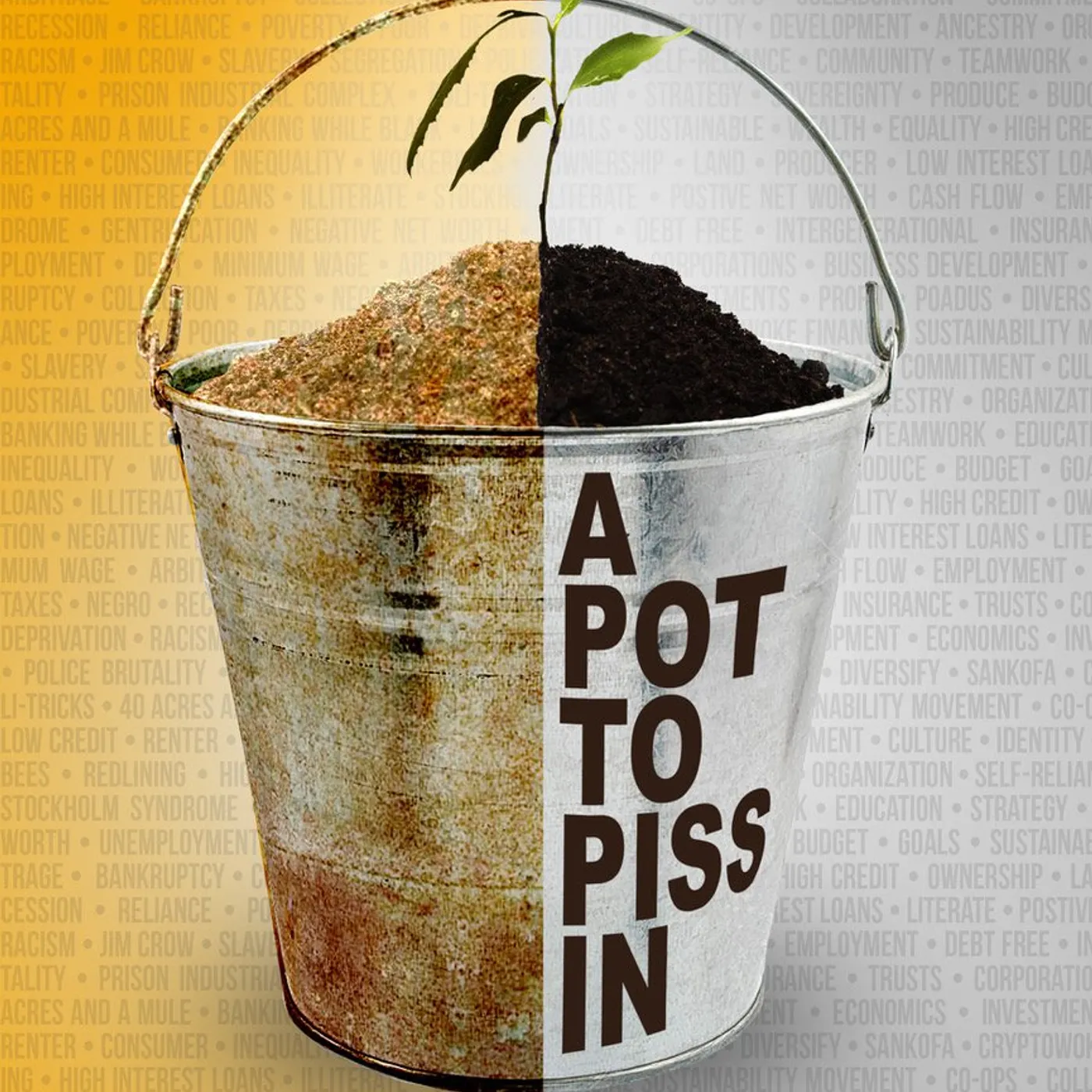 M'Bwebe Ishangi - A Pot to Piss In: Intergenerational Wealth Planning for Black People (paperback)