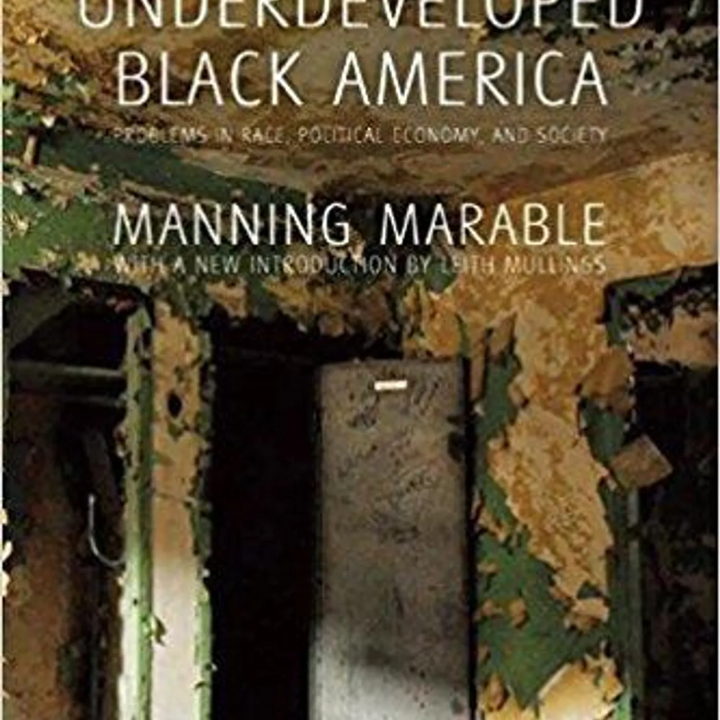 Manning Marable - How Capitalism Underdeveloped Black America: Problems in Race, Political Economy, and Society Paperback