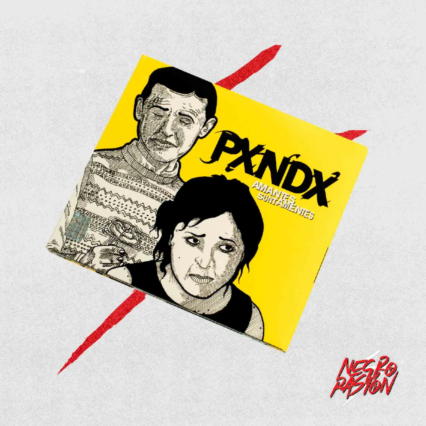 Disco - PXNDX - Amantes Sunt Amentes