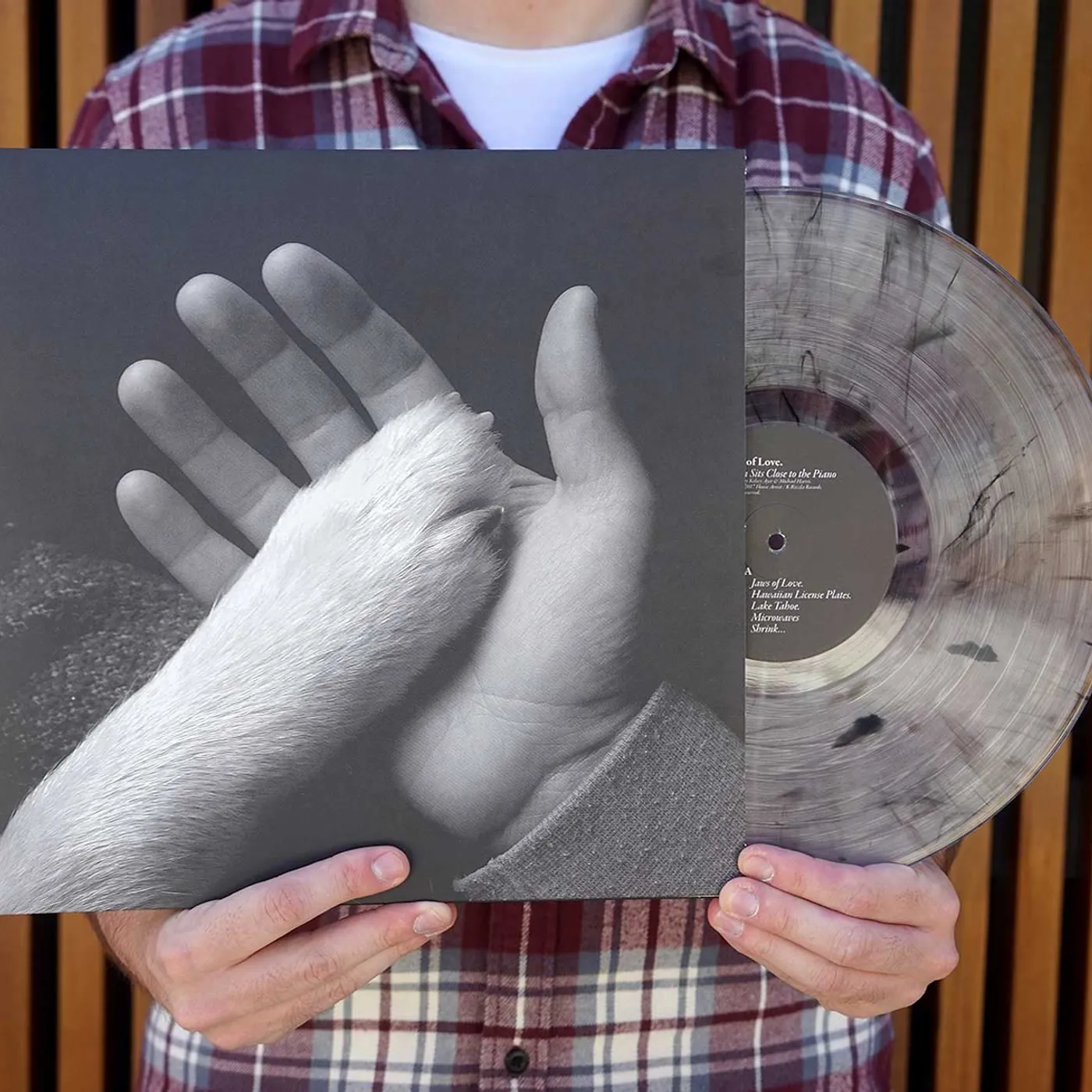 Jaws of Love. Tasha Sits Close to the Piano (Smoky Vinyl)
