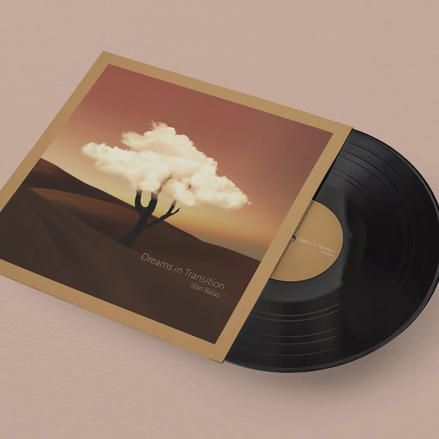 Idan Balas Dreams in Transition Vinyl