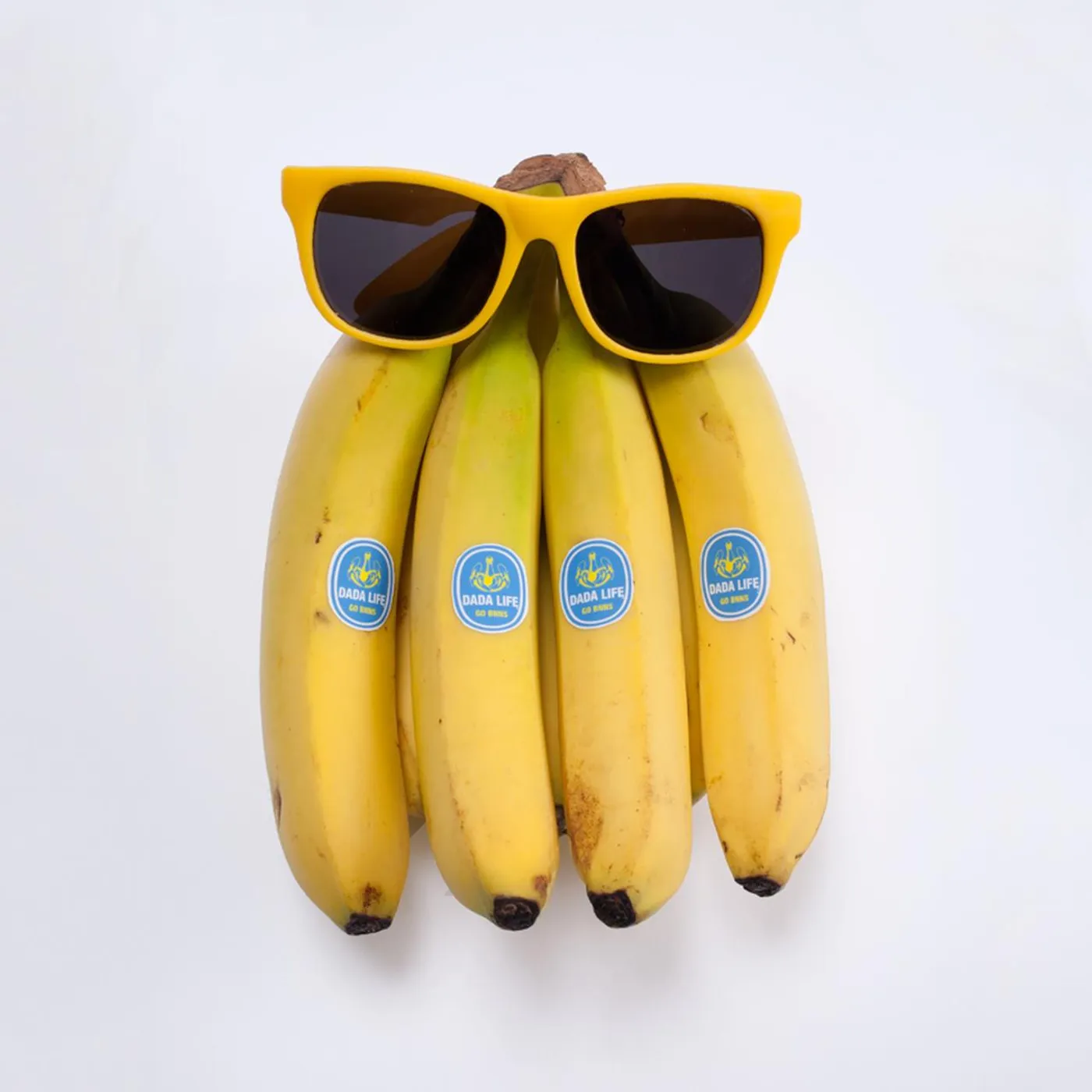 DADA LIFE SUNGLASSES