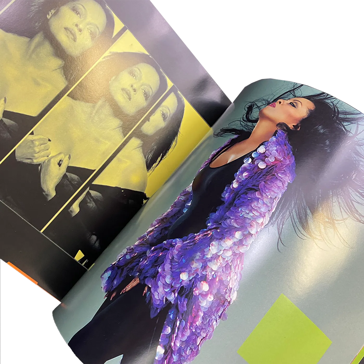 Diana Ross And The Supremes "Return To Love" Souvenir Photo Book