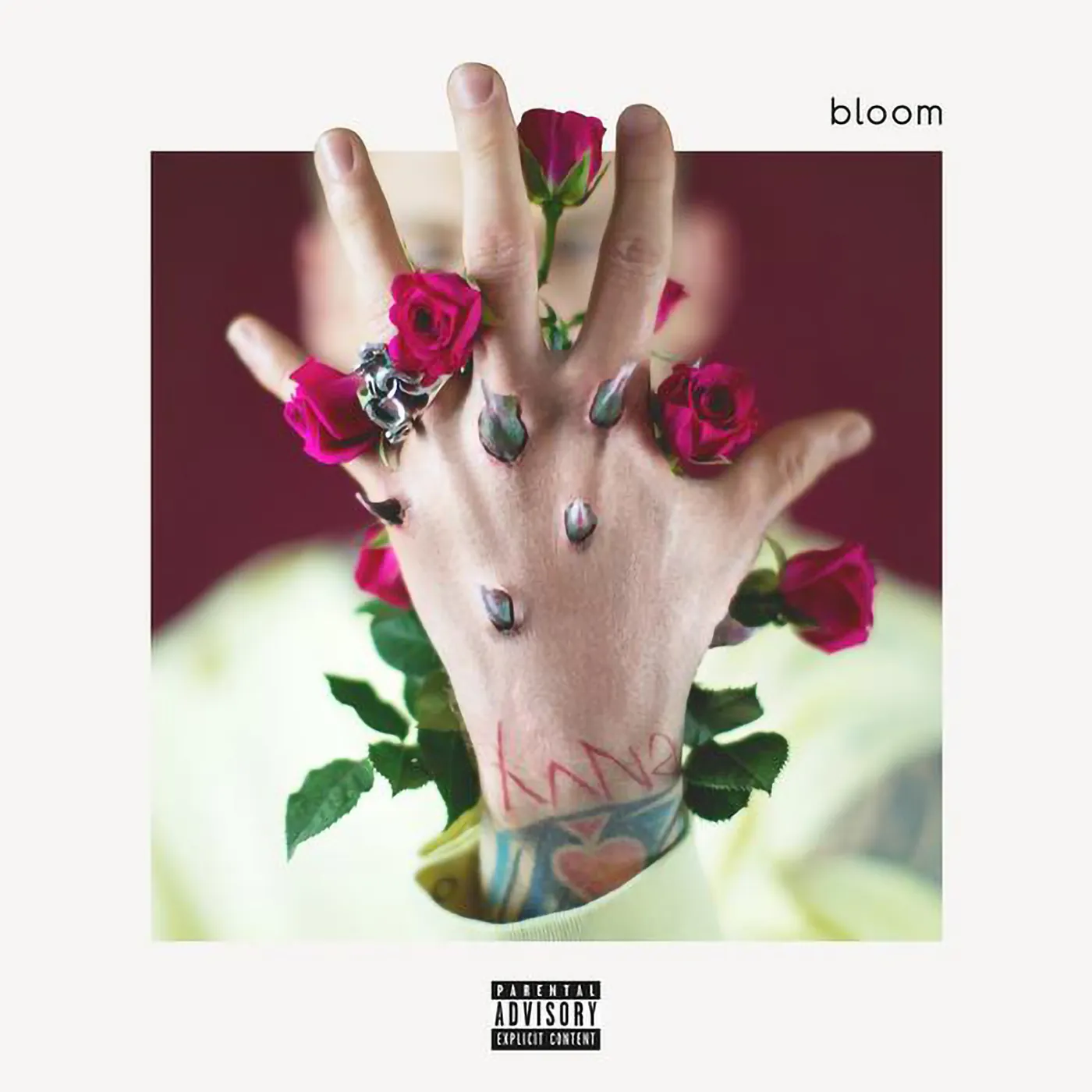 Machine Gun Kelly - bloom Vinyl LP
