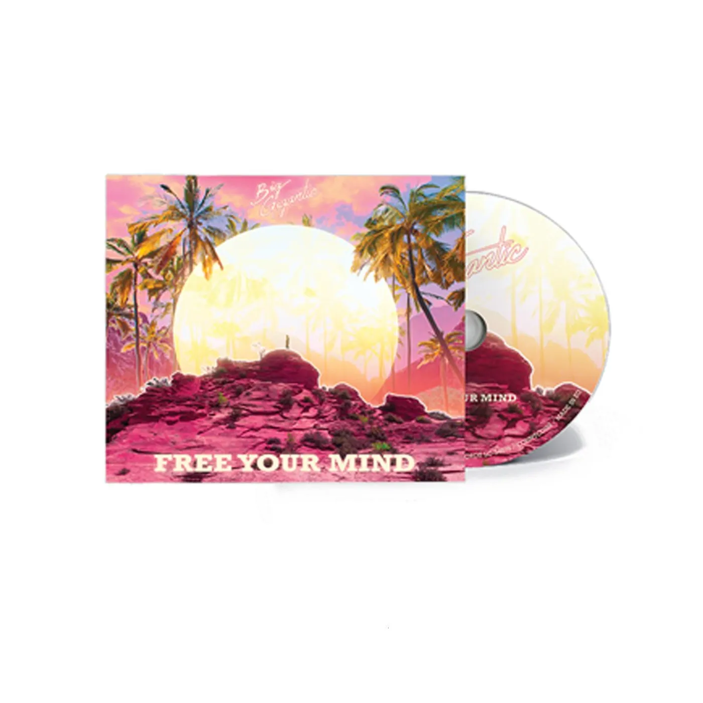 Big Gigantic Free Your Mind CD
