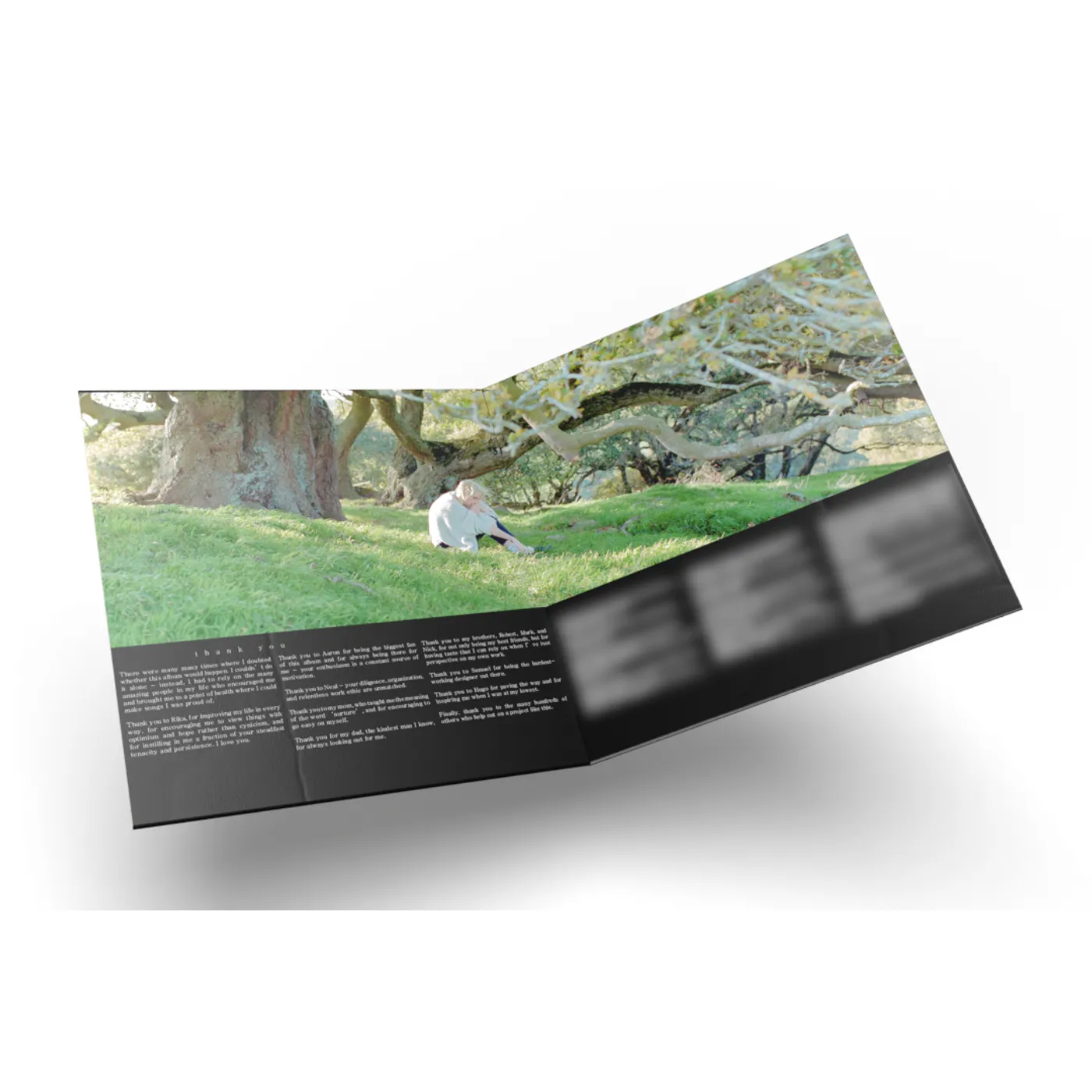 Porter Robinson nurture 2lp standard vinyl + digital album