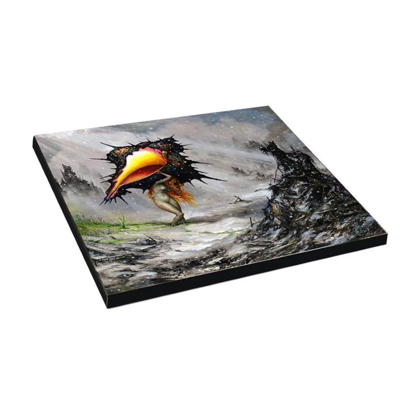 Circa Survive The Amulet CD