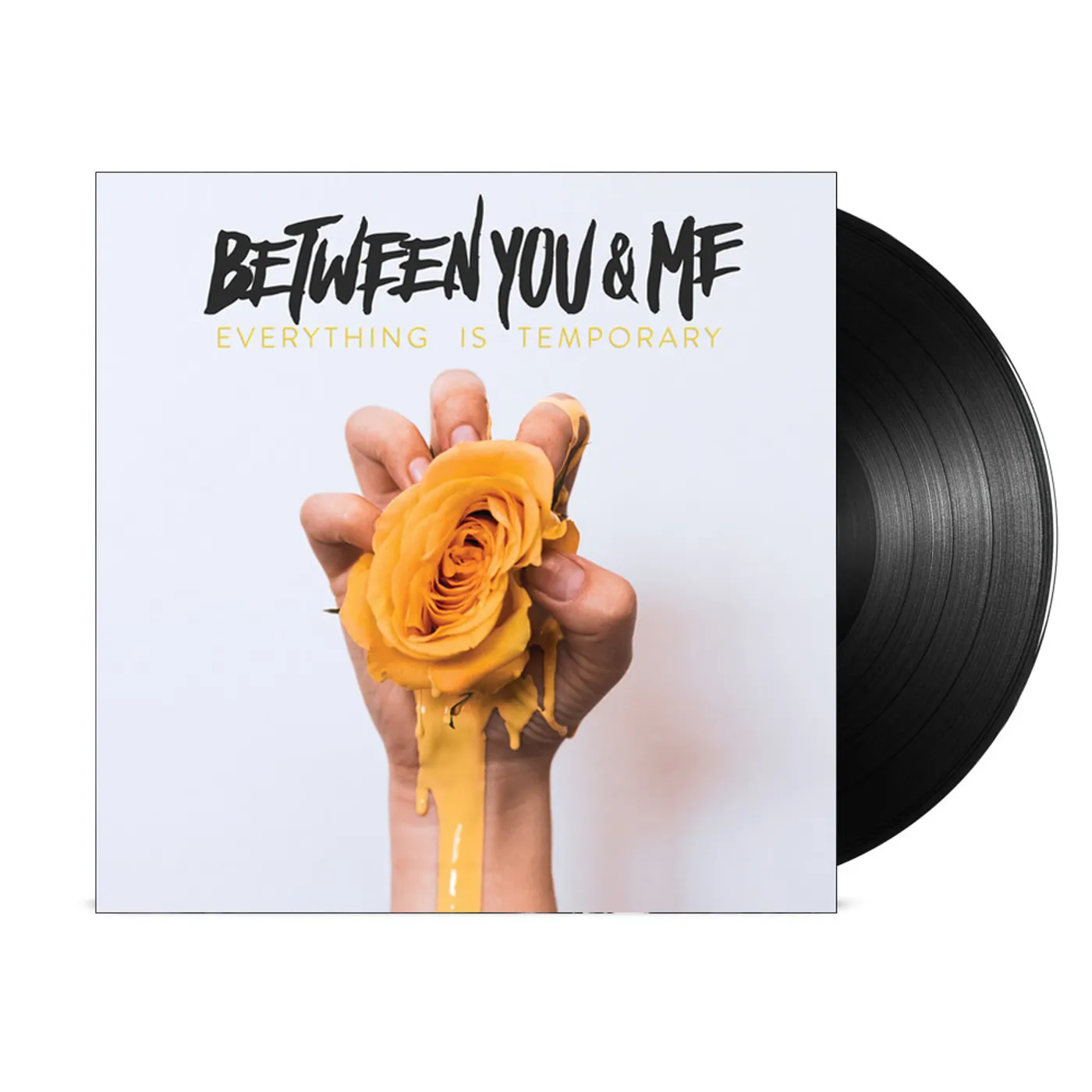 Between Me and You Everything Is Temporary LP (Black) (Vinyl)