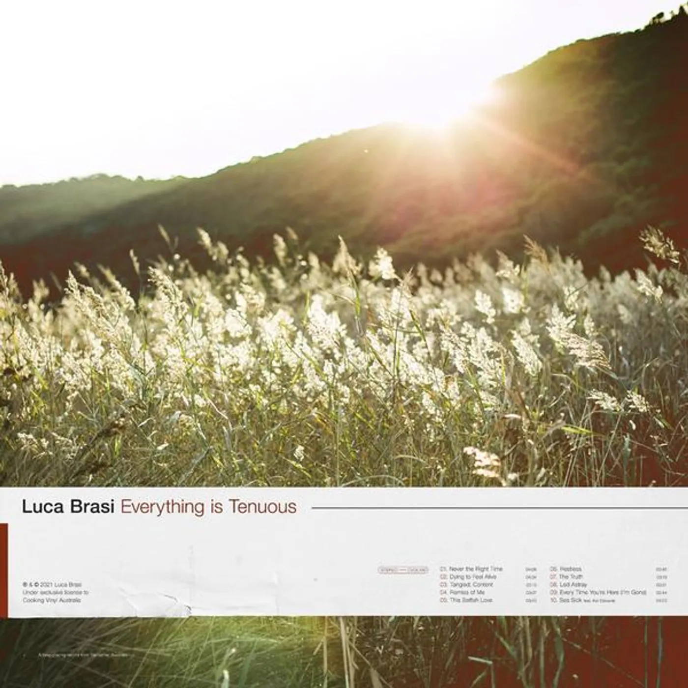 Luca Brasi Everything Is Tenuous LP (Beer/Brown vinyl)