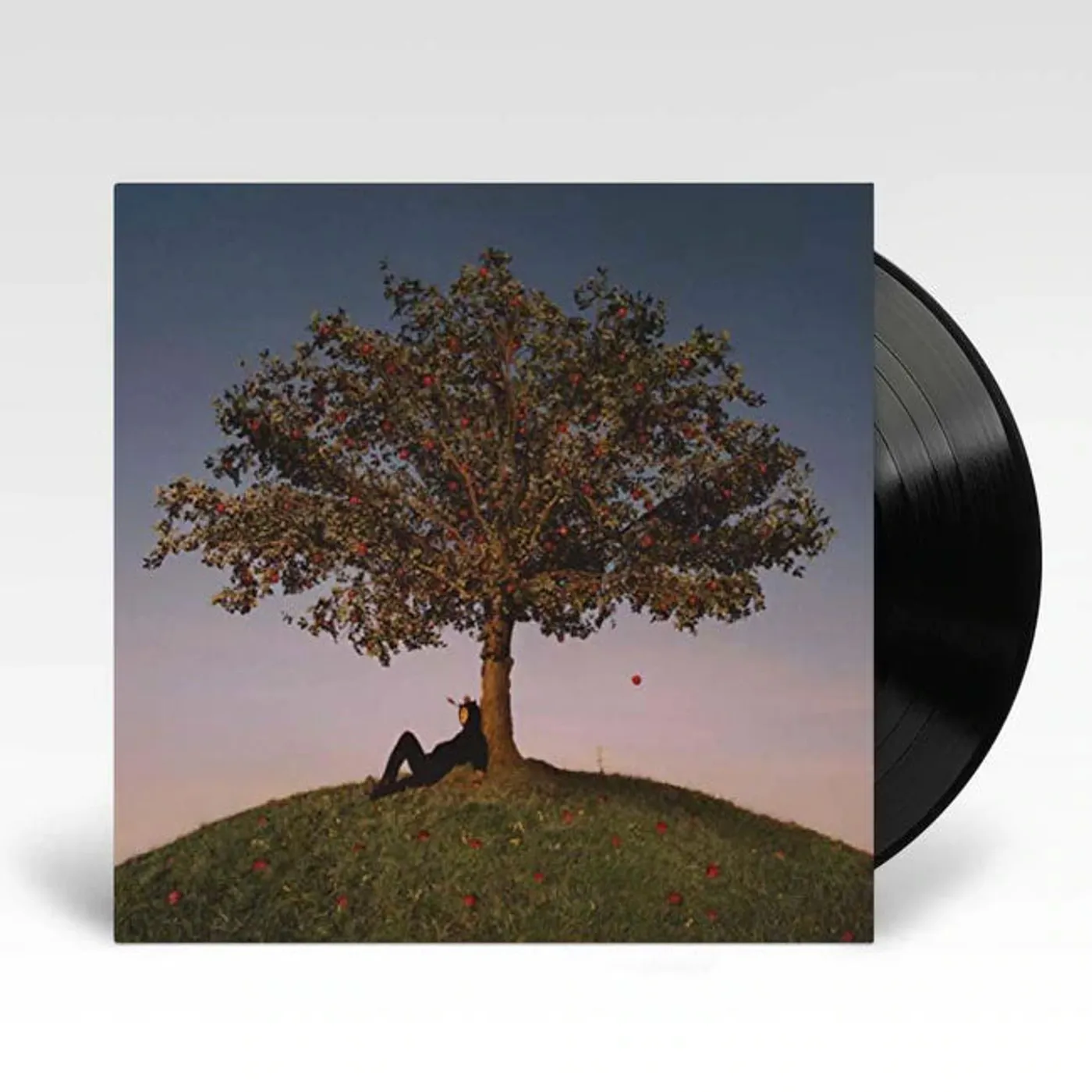 slowthai Tyron LP (Black Vinyl)