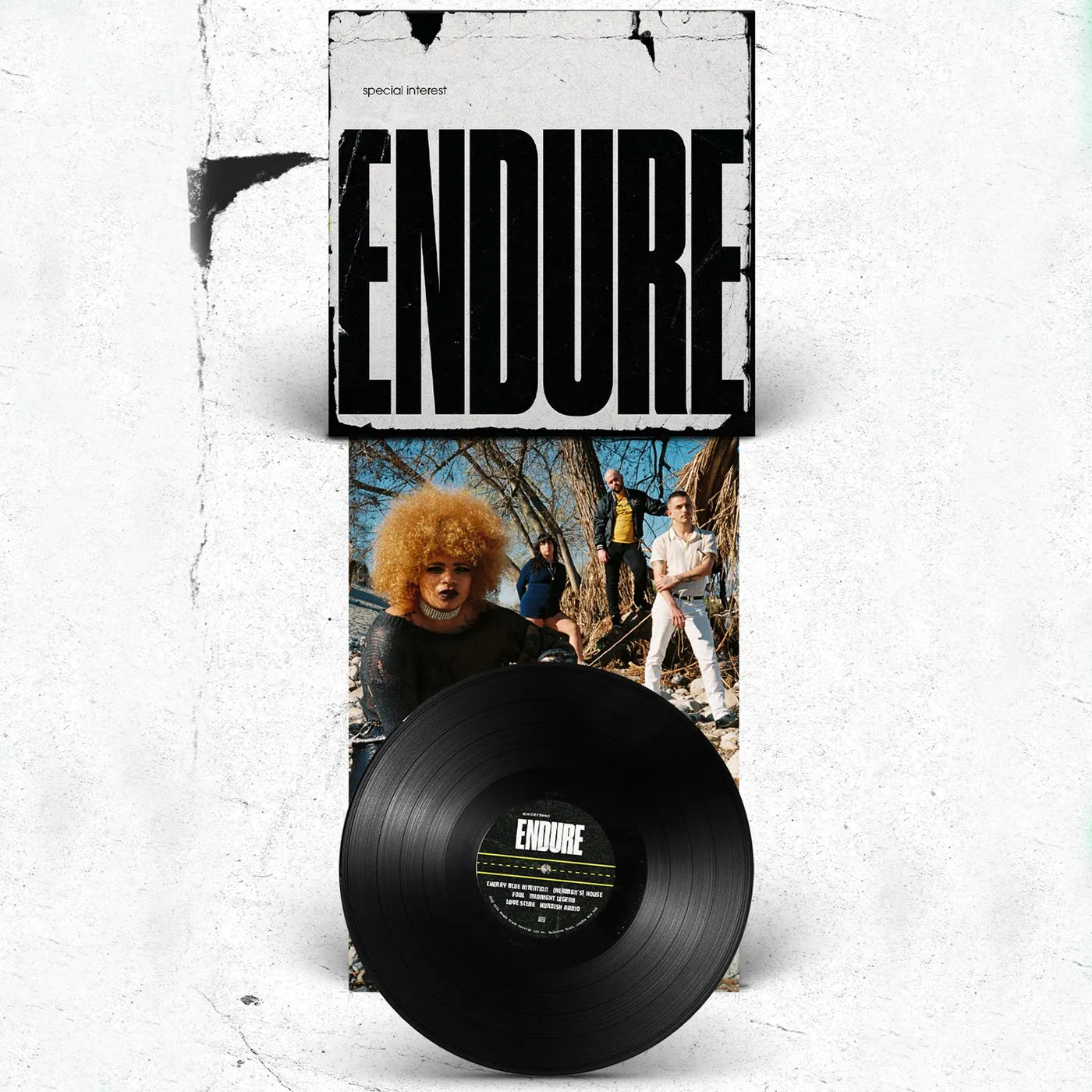 Special Interest Endure LP (Black) (Vinyl)