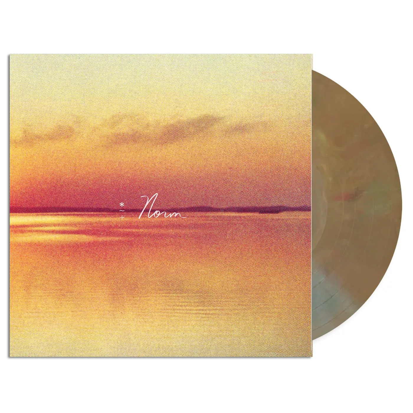 Andy Shauf Norm LP (Eco-Mix Vinyl)
