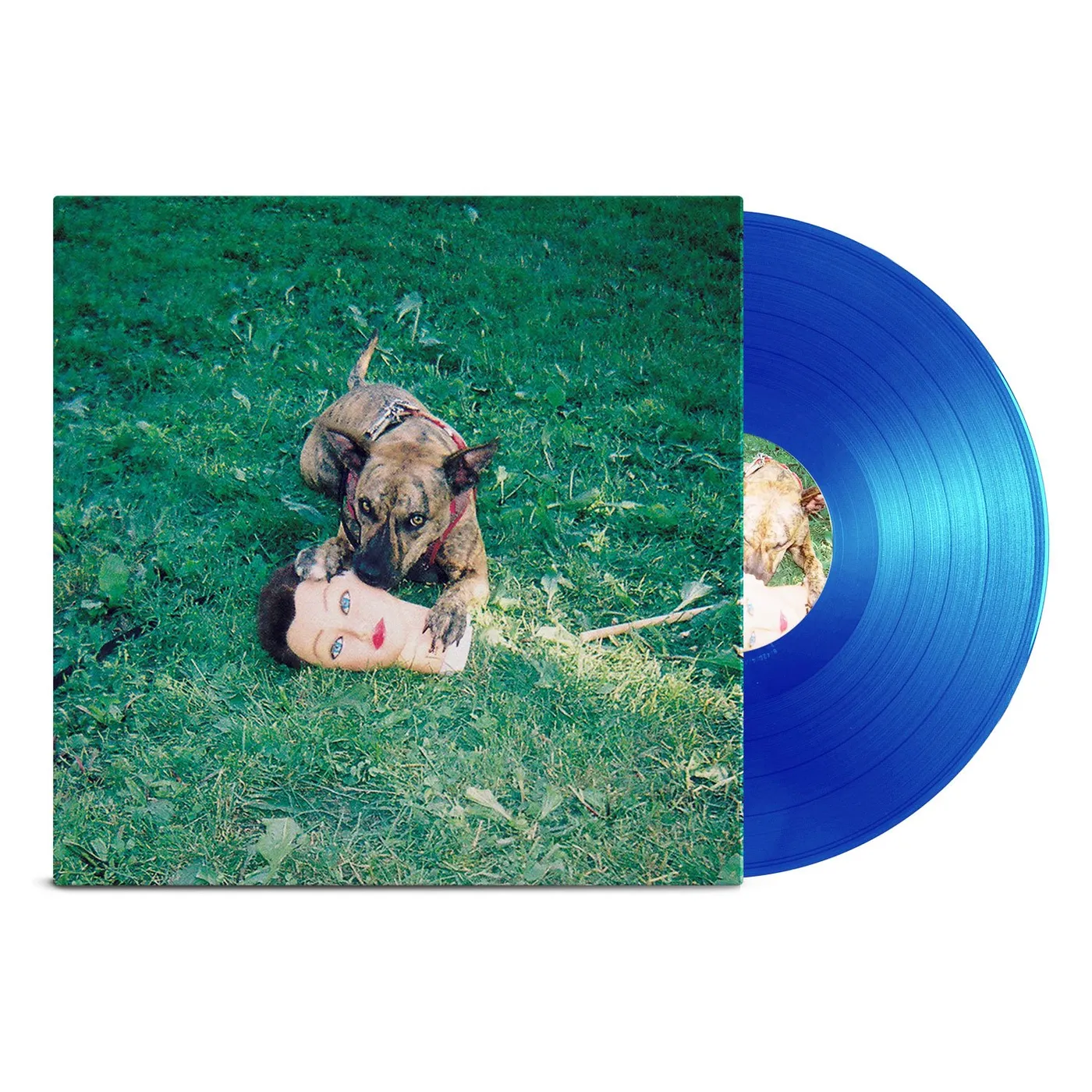 Joyce Manor Cody LP (Blue - Signed) (Vinyl)