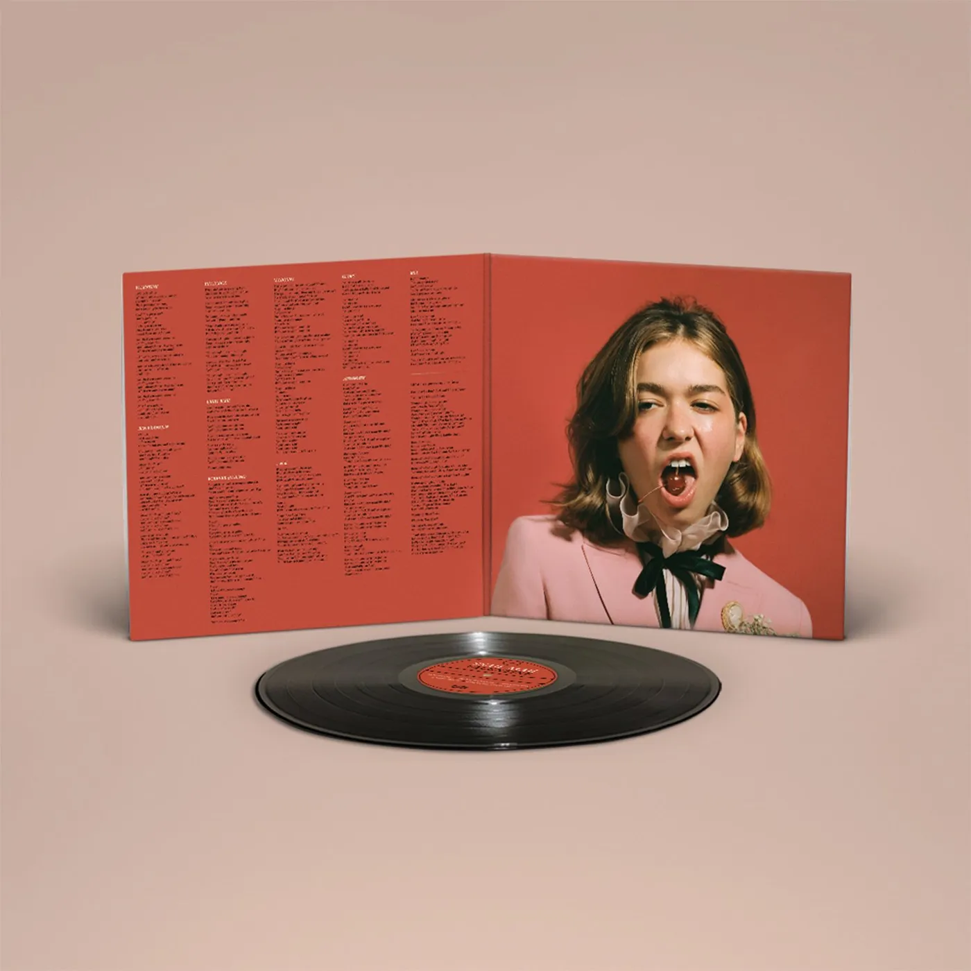 Snail Mail Valentine LP (Black) (Vinyl)
