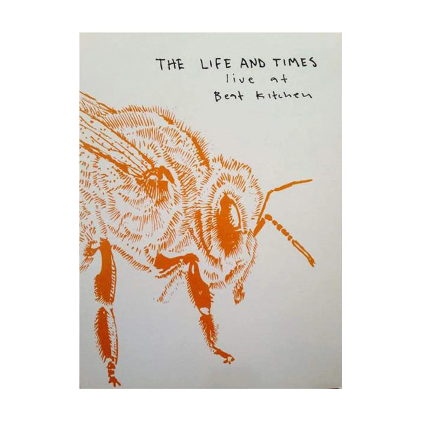 The Life and Times | Lost Bees Live at The Beat Kitchen DVD