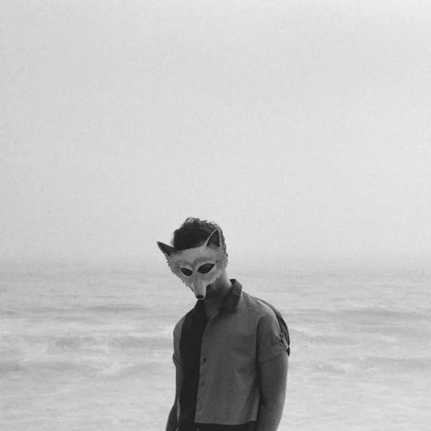 Wolf Colony | Unmasked