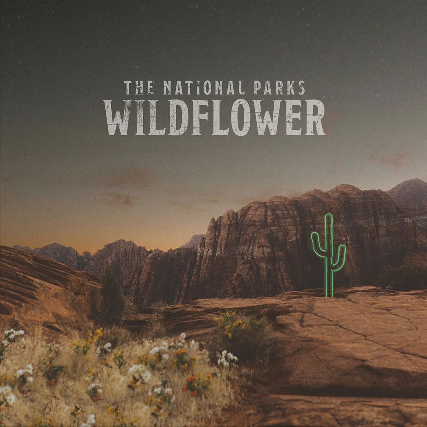 The National Parks | Wildflower LP + Digital Download (Vinyl)