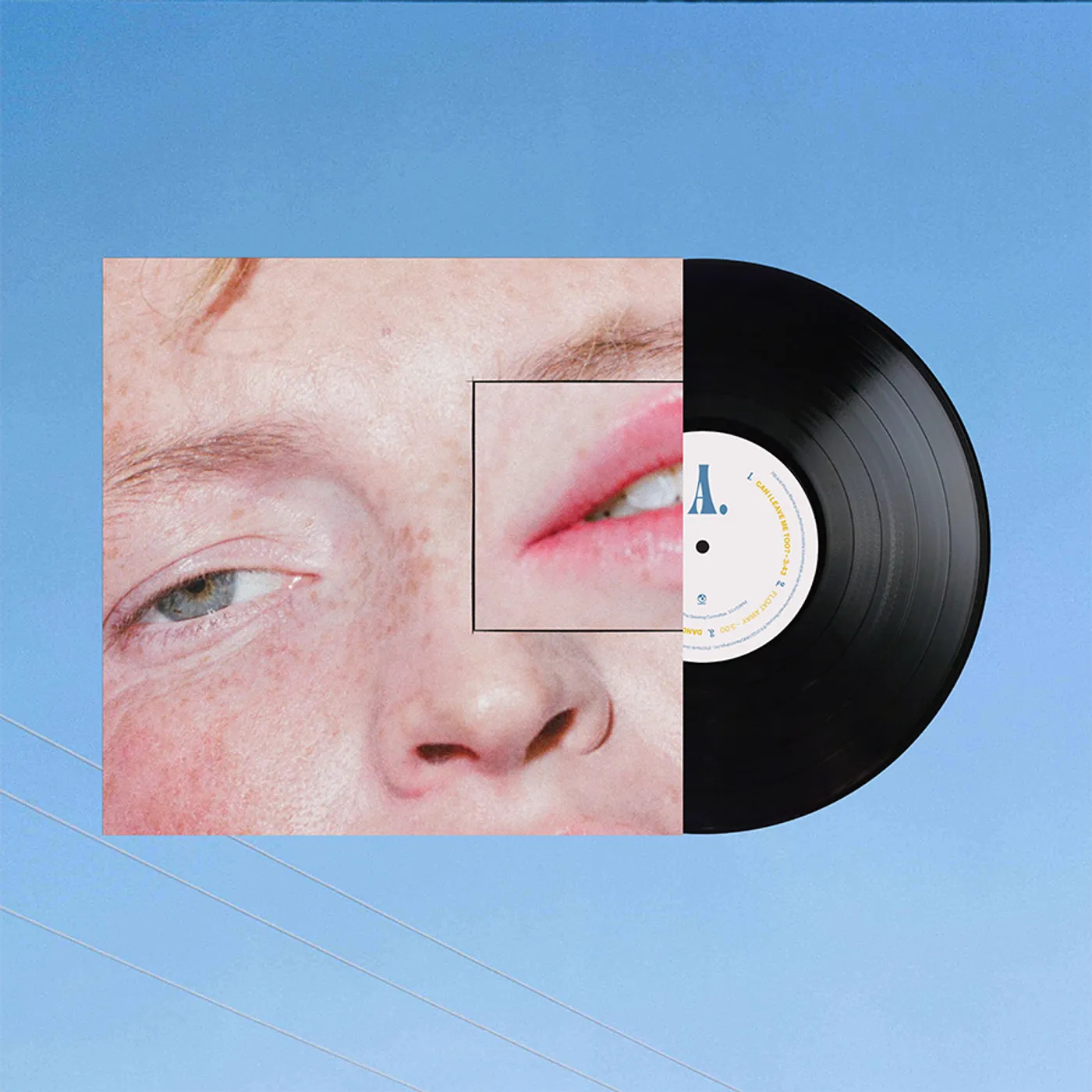 The Greeting Committee | Dandelion 12 Black Vinyl