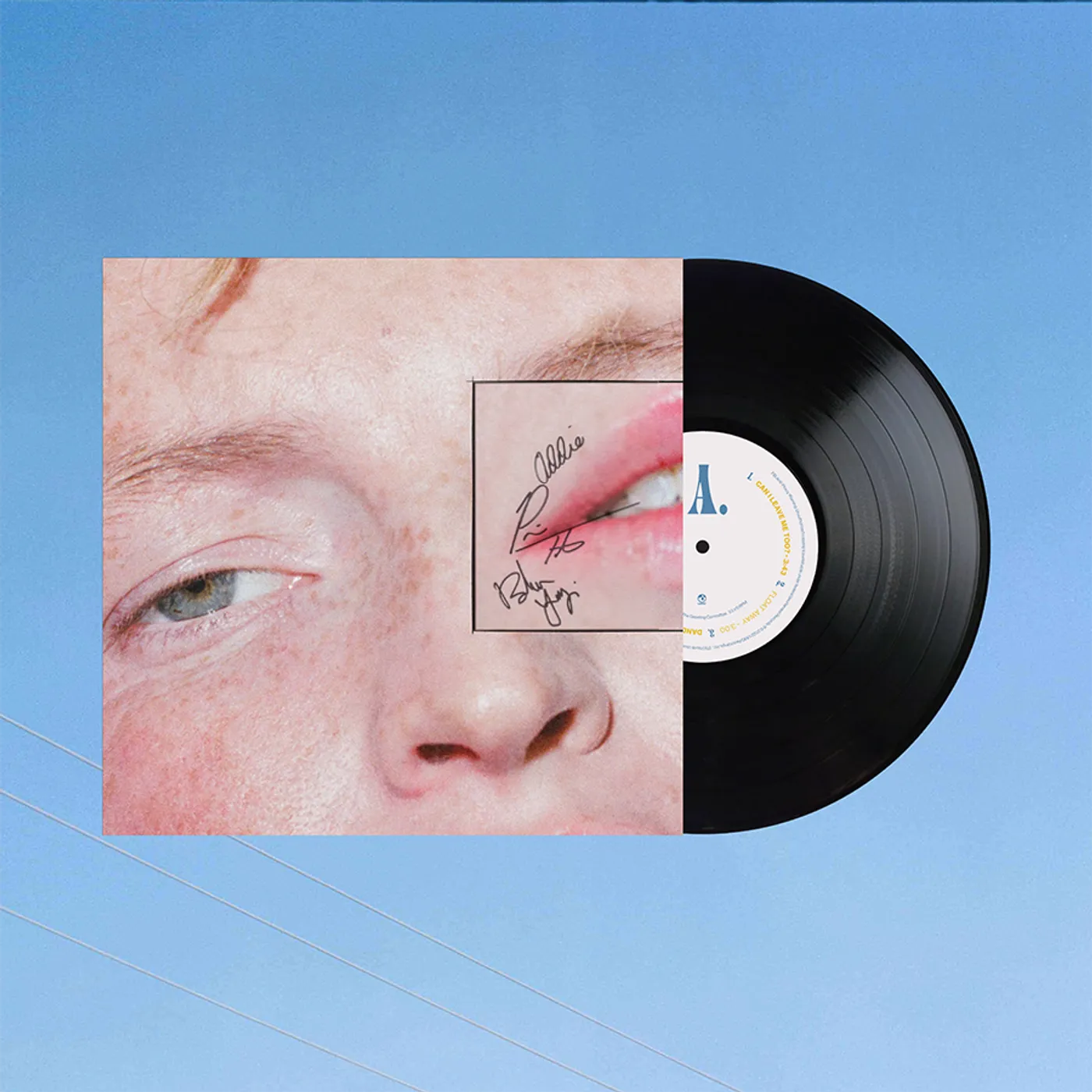 The Greeting Committee | Dandelion 12 Black Vinyl *SIGNED*