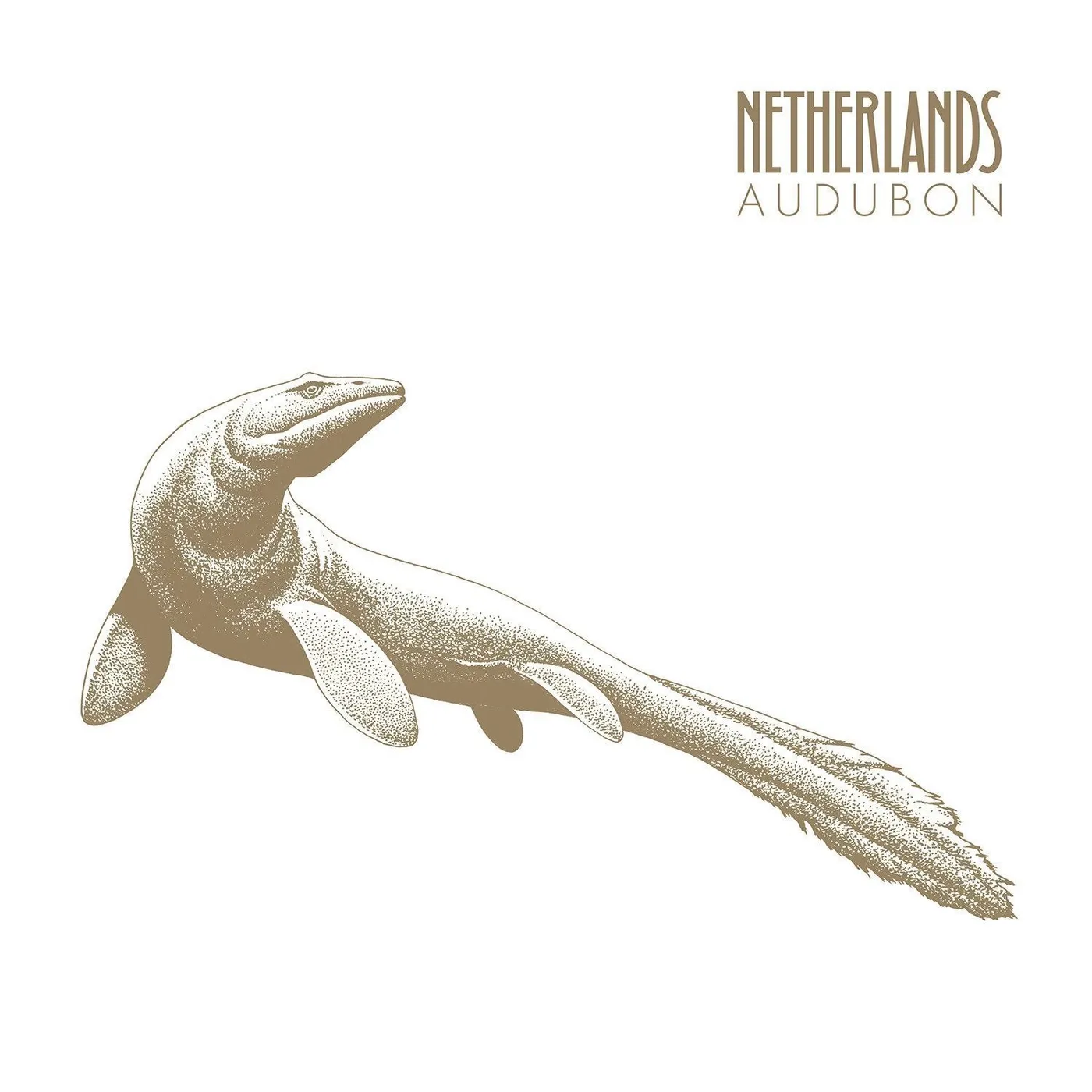 Netherlands | Audubon LP (Vinyl)