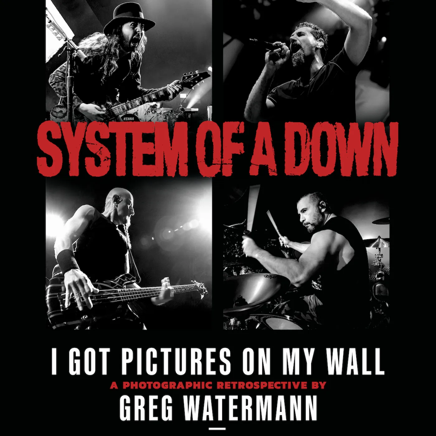 Serj Tankian System Of A Down - Pictures On My Wall - Limited Edition Event Poster