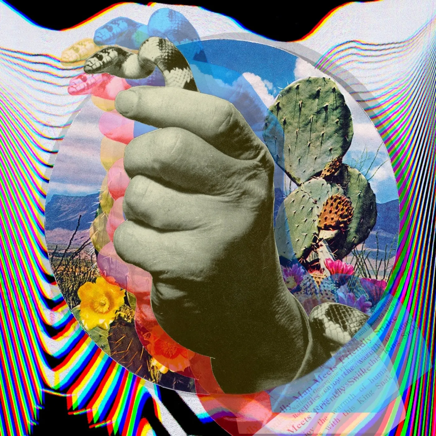 Caracol / Symbolism - LP Vinyl