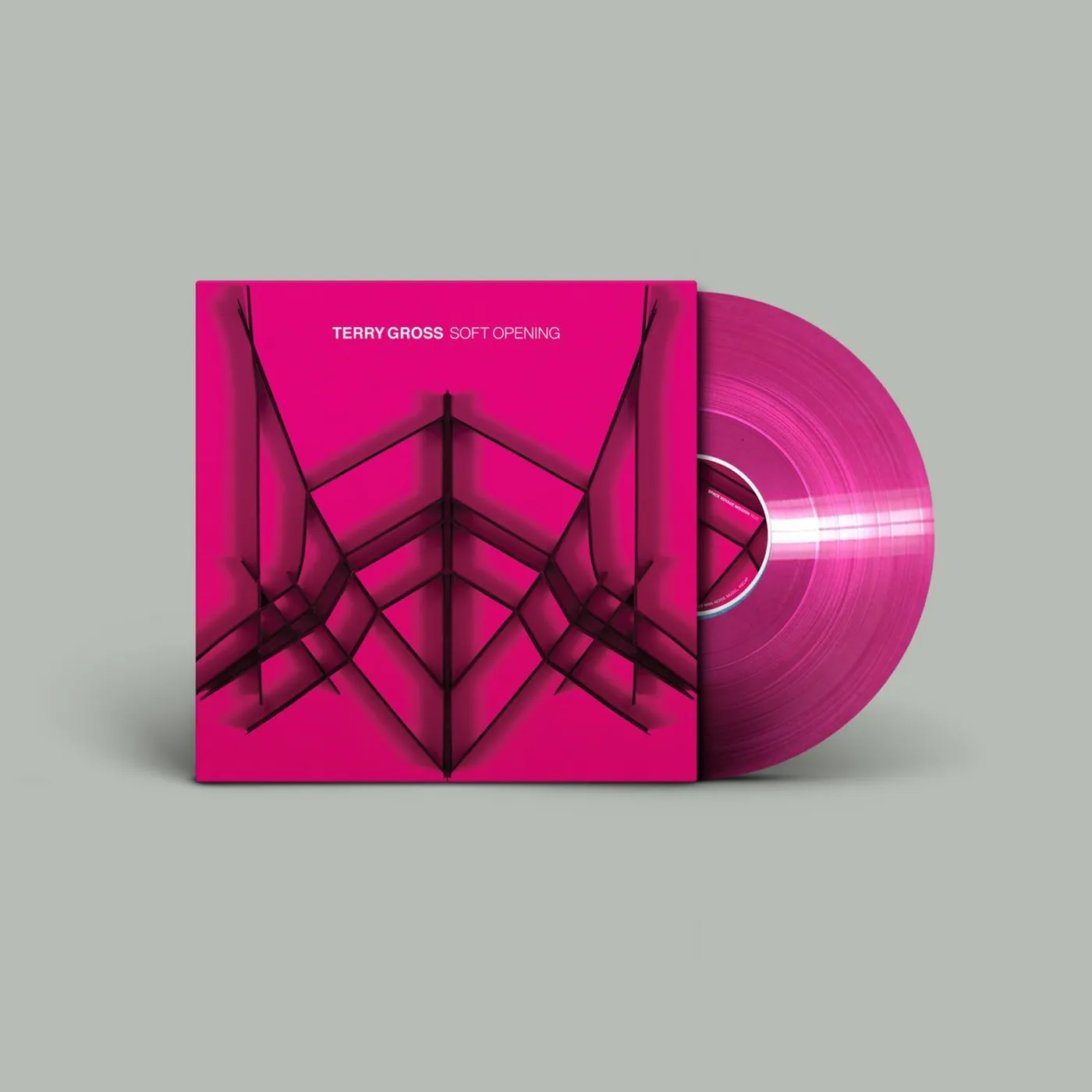 Terry Gross / Soft Opening - Translucent Pink LP Vinyl