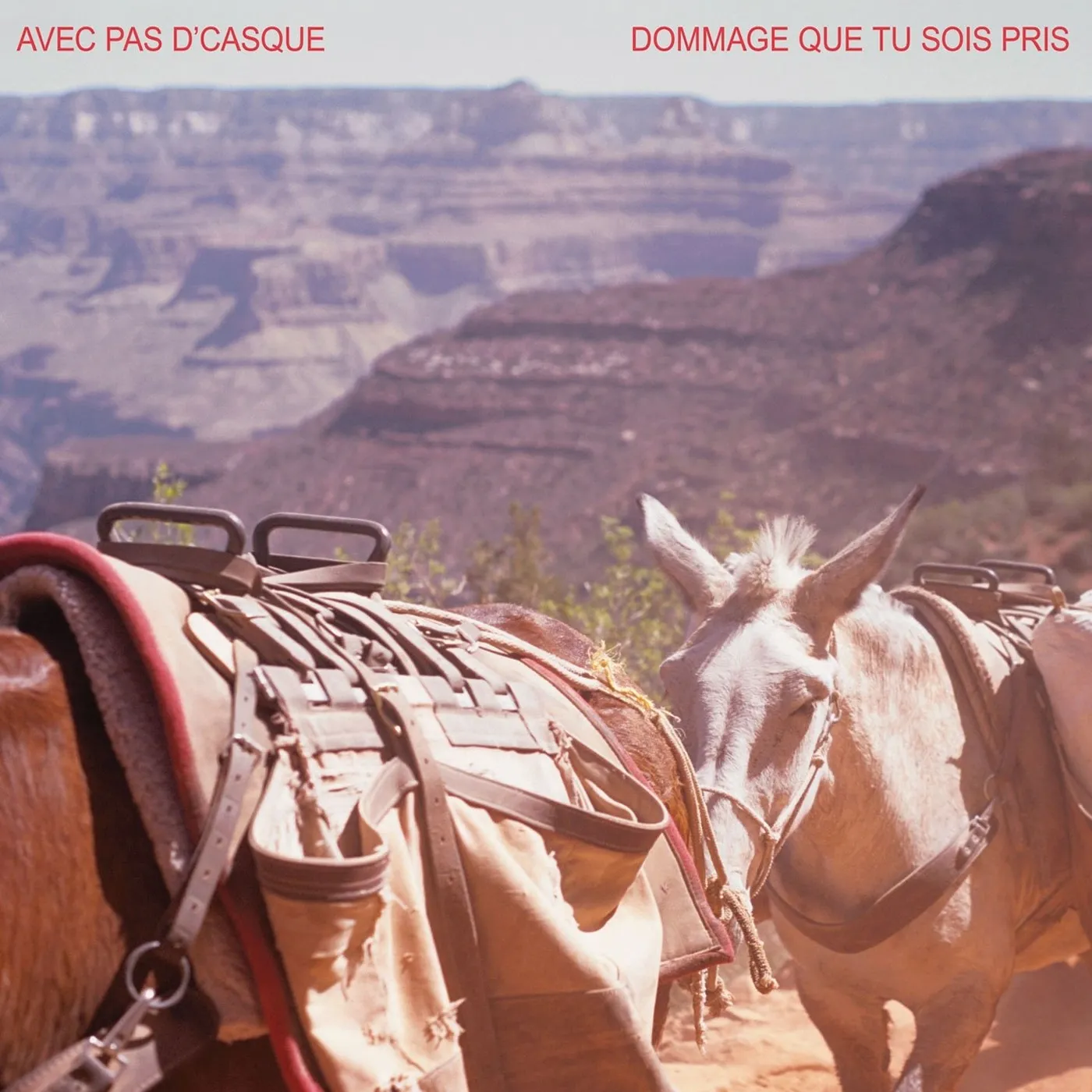 Avec pas d'casque / Dommage que tu sois pris (EP) - CD